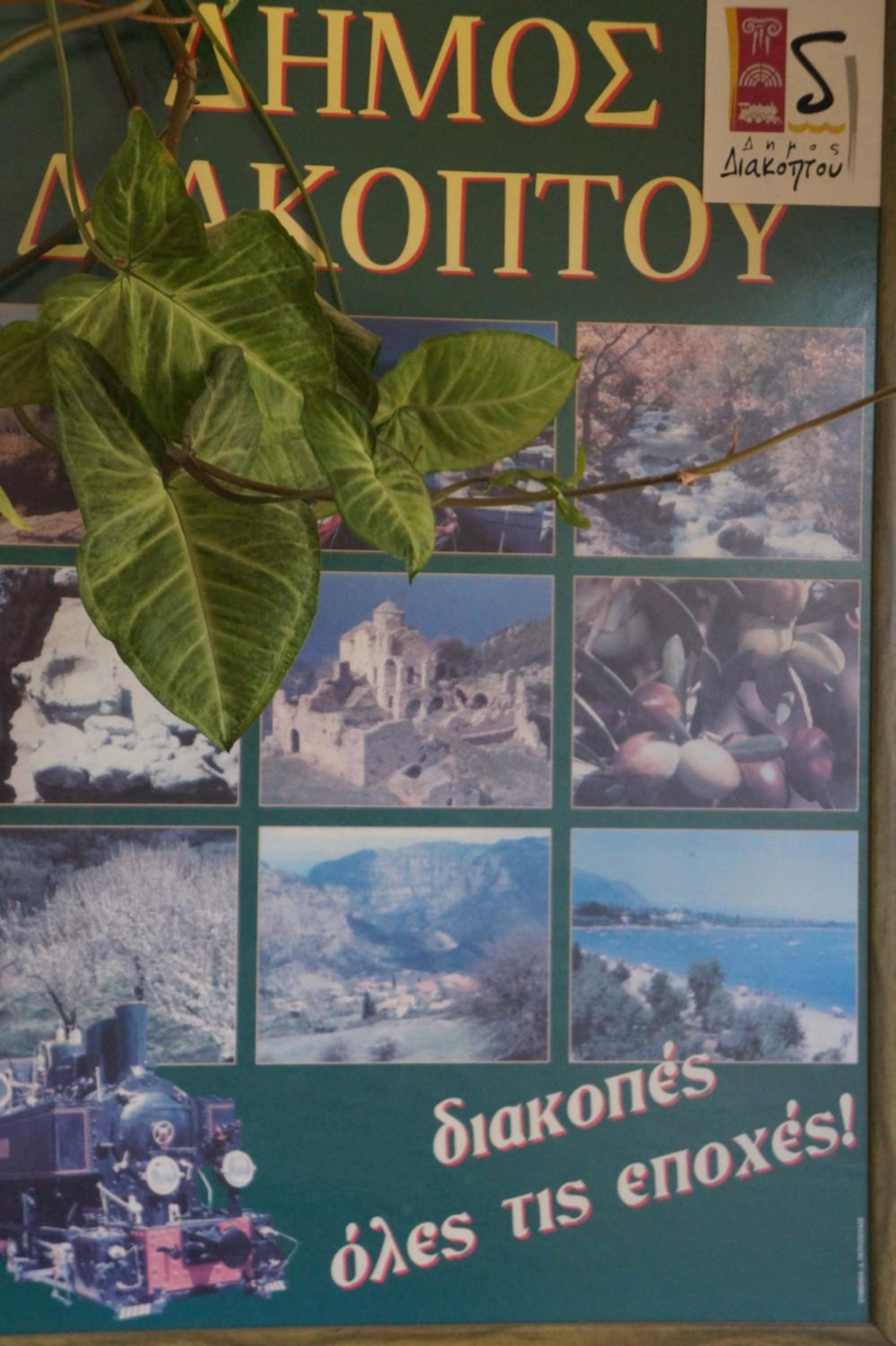 Lemonies, photo 20