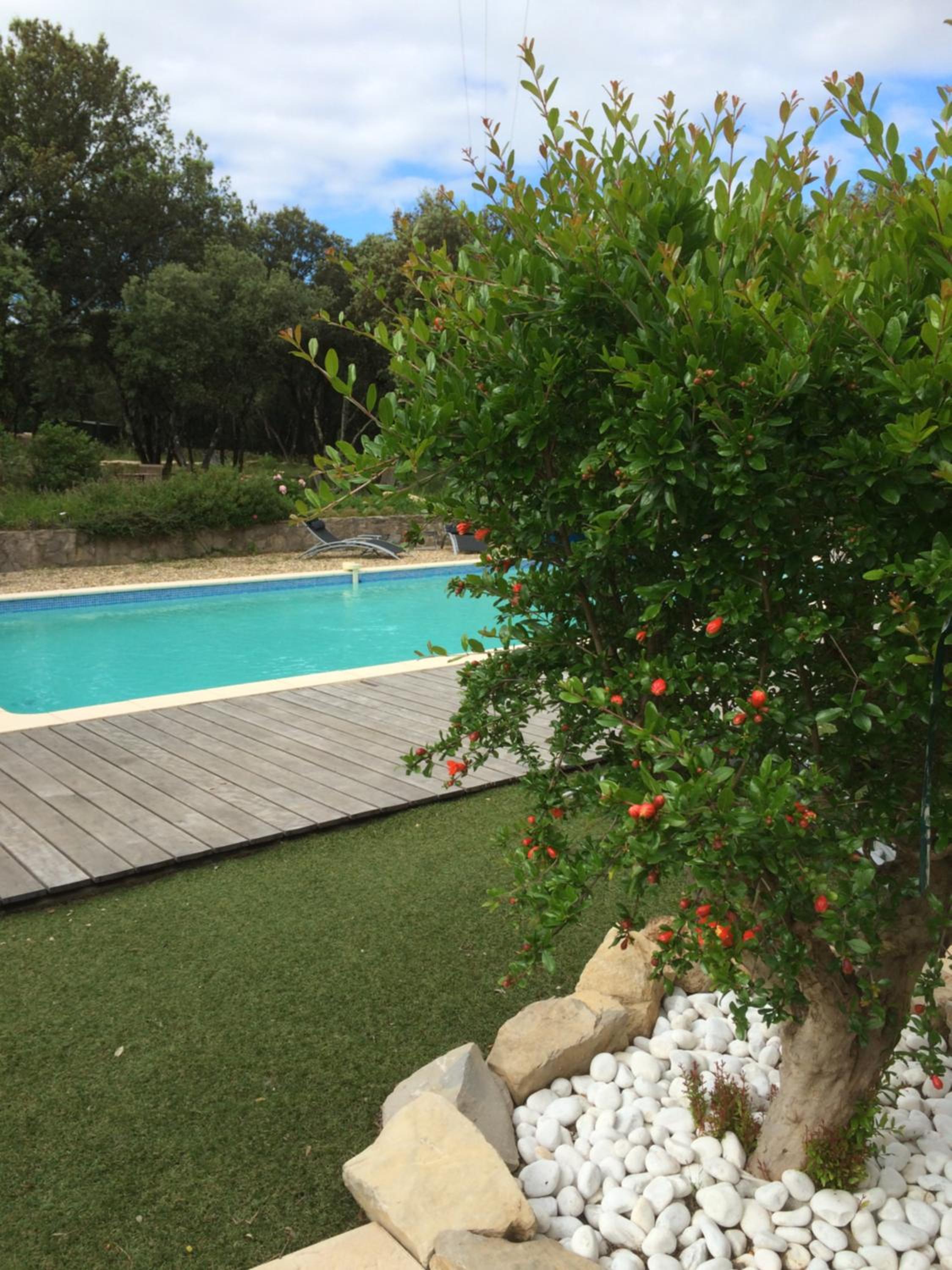B&B Le Mas Des Chenes view 5
