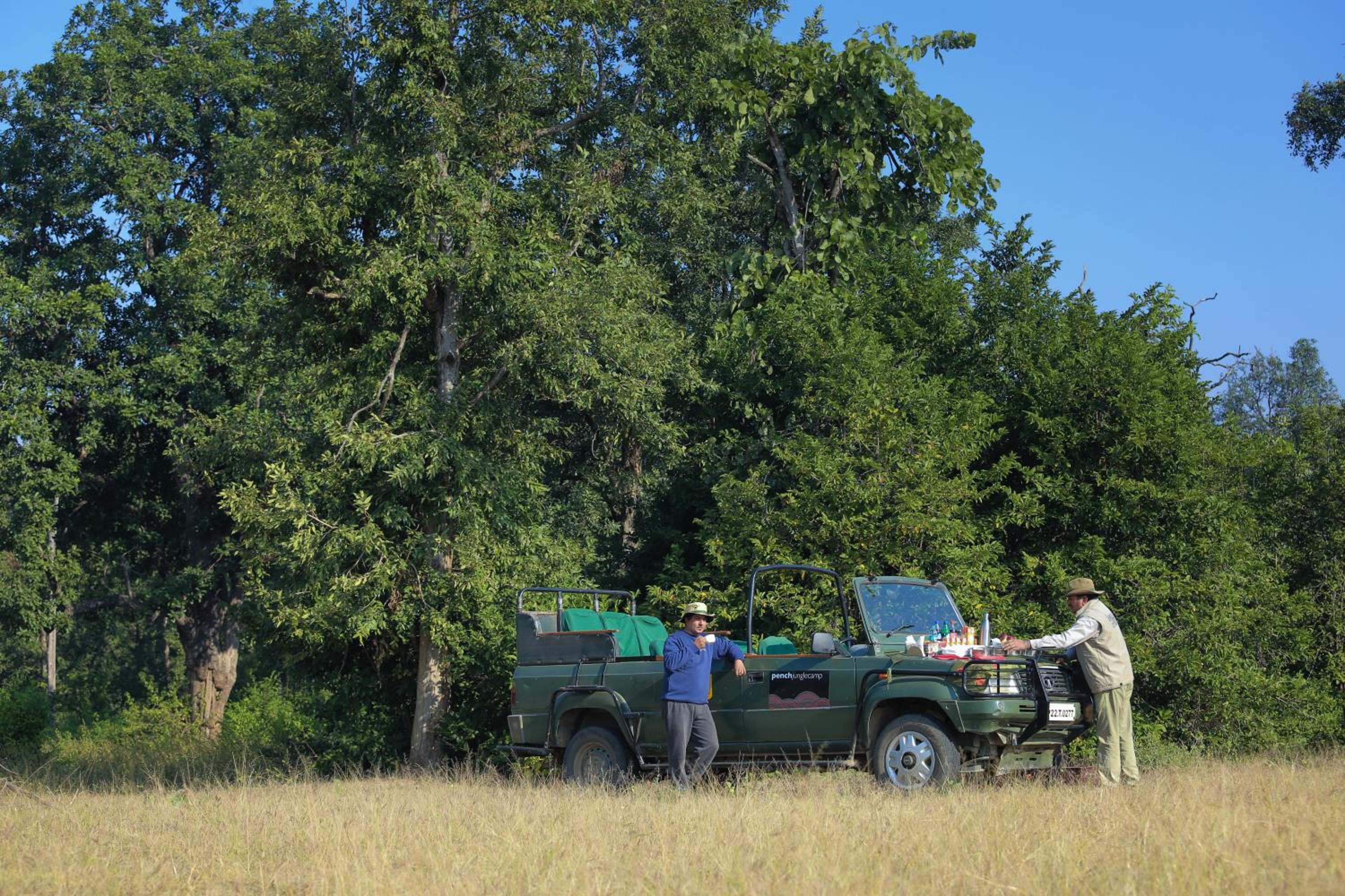 Pench Jungle Camp