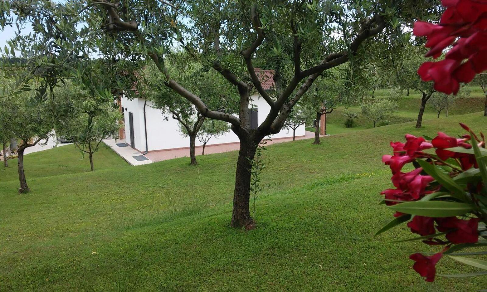 Photo 23