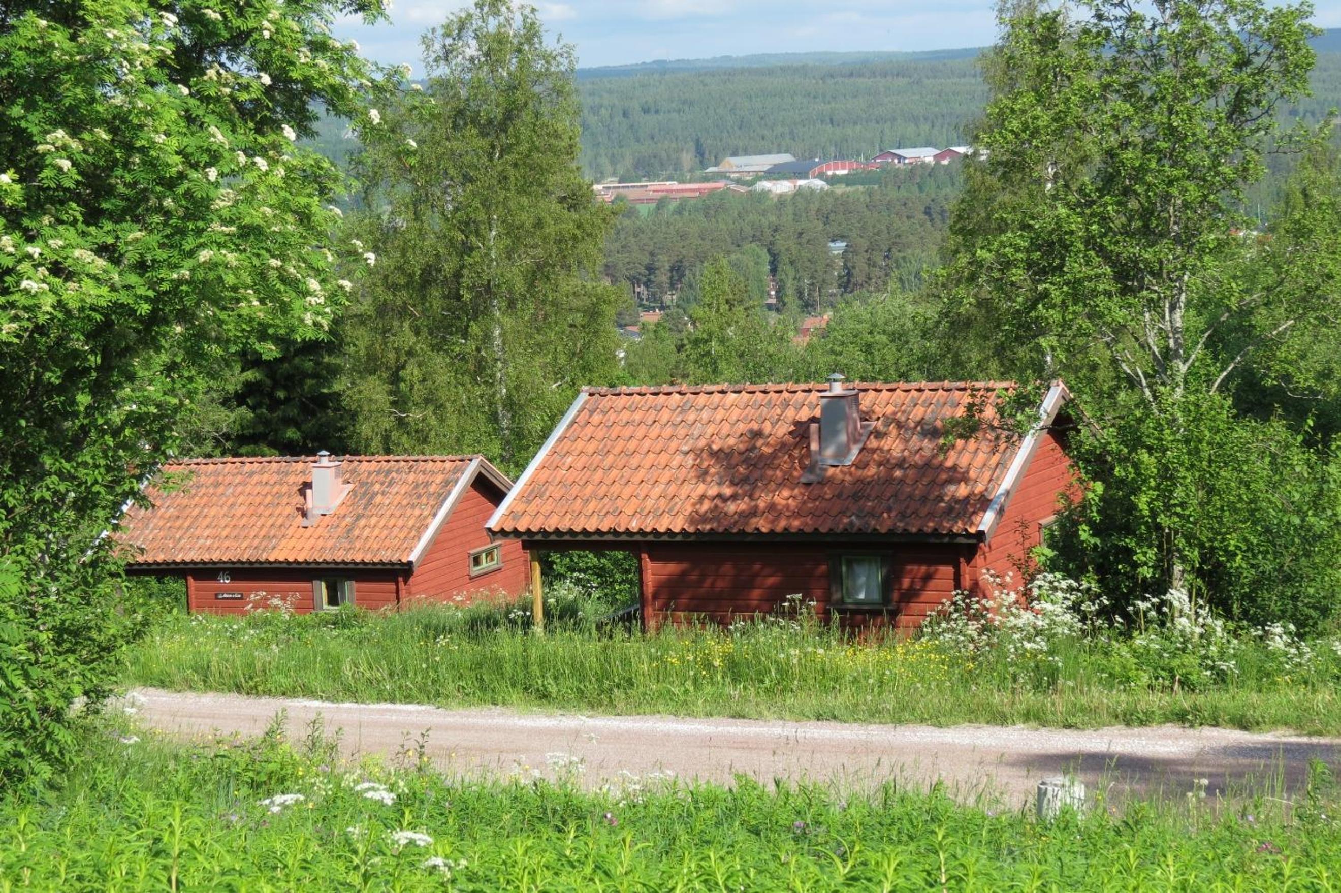 Photo 8