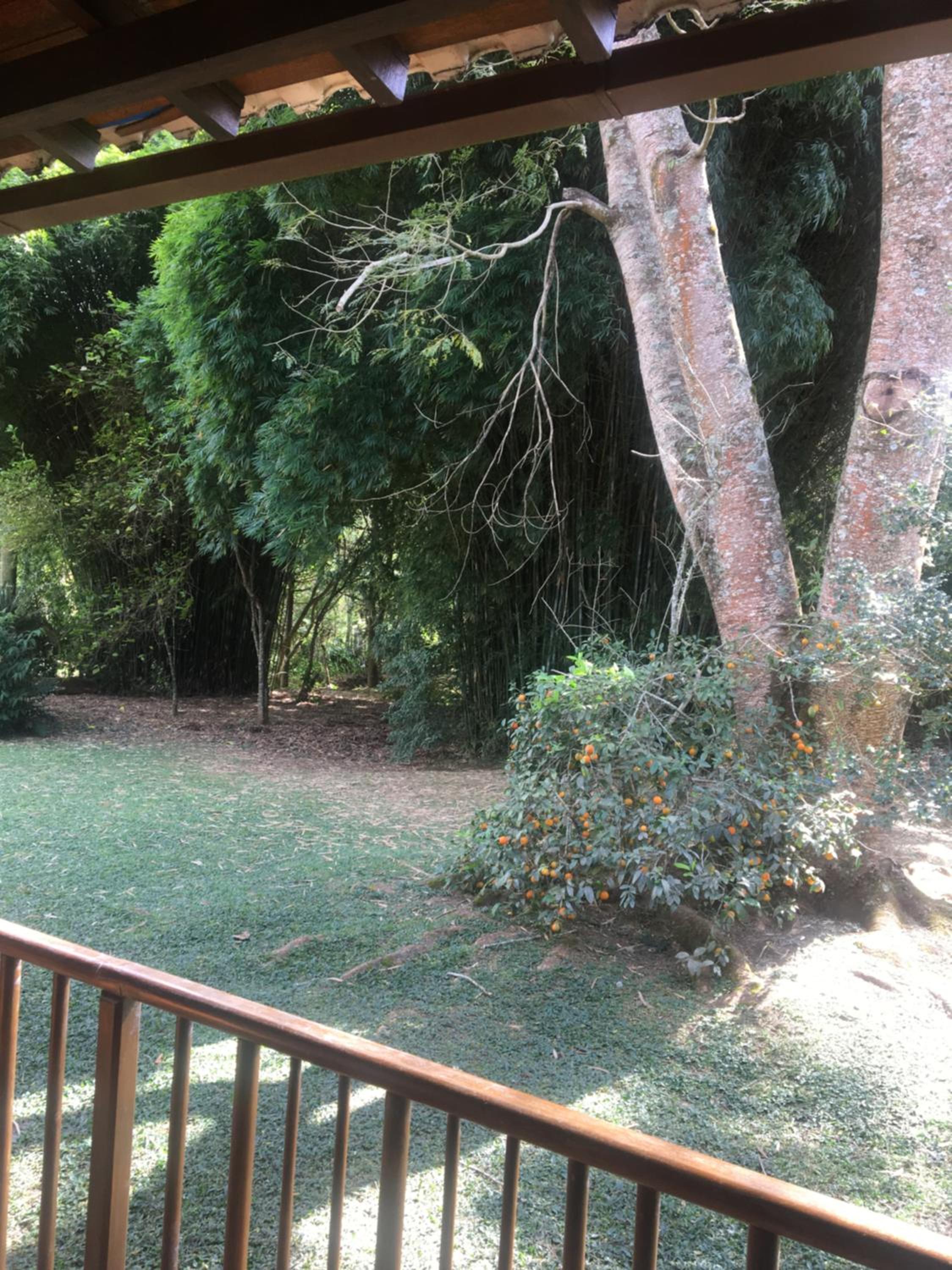 Calcada Sao Jose