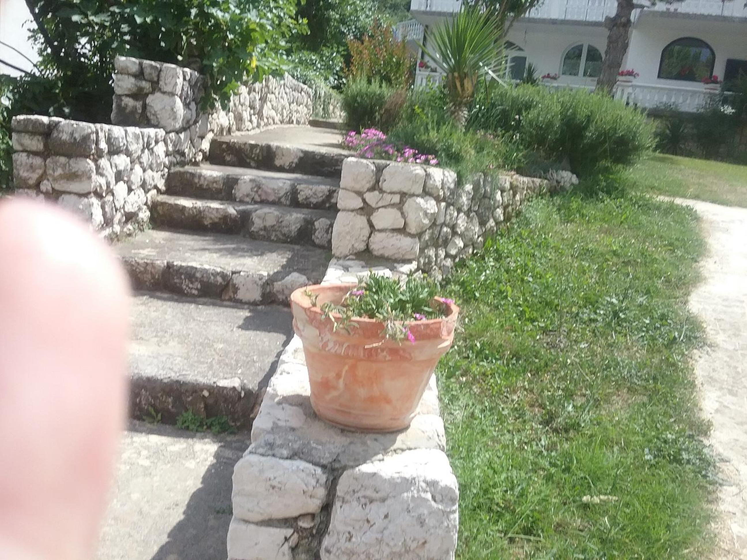 Photo 40