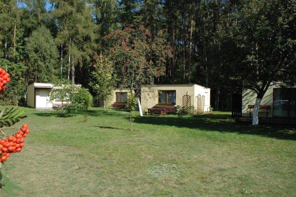 Photo 51