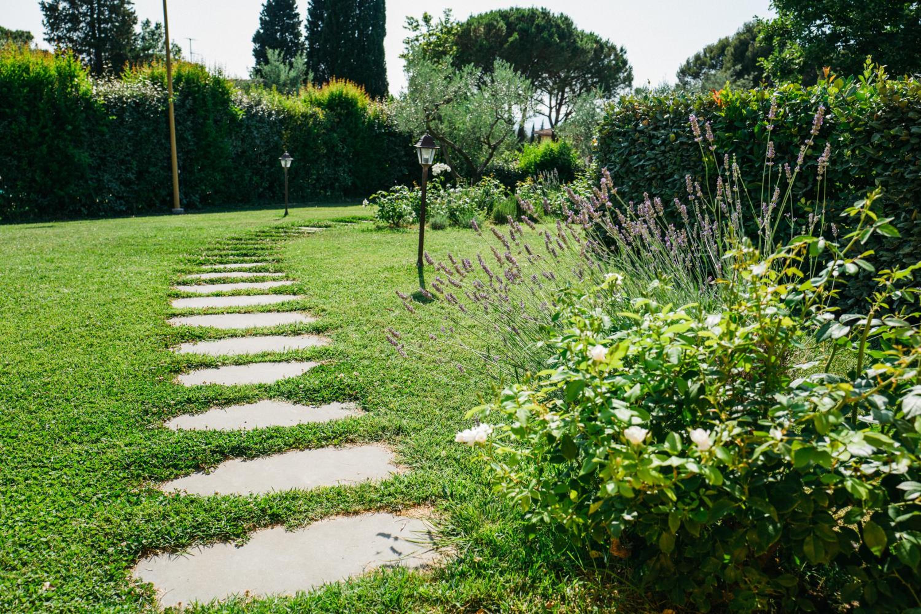 Photo 25