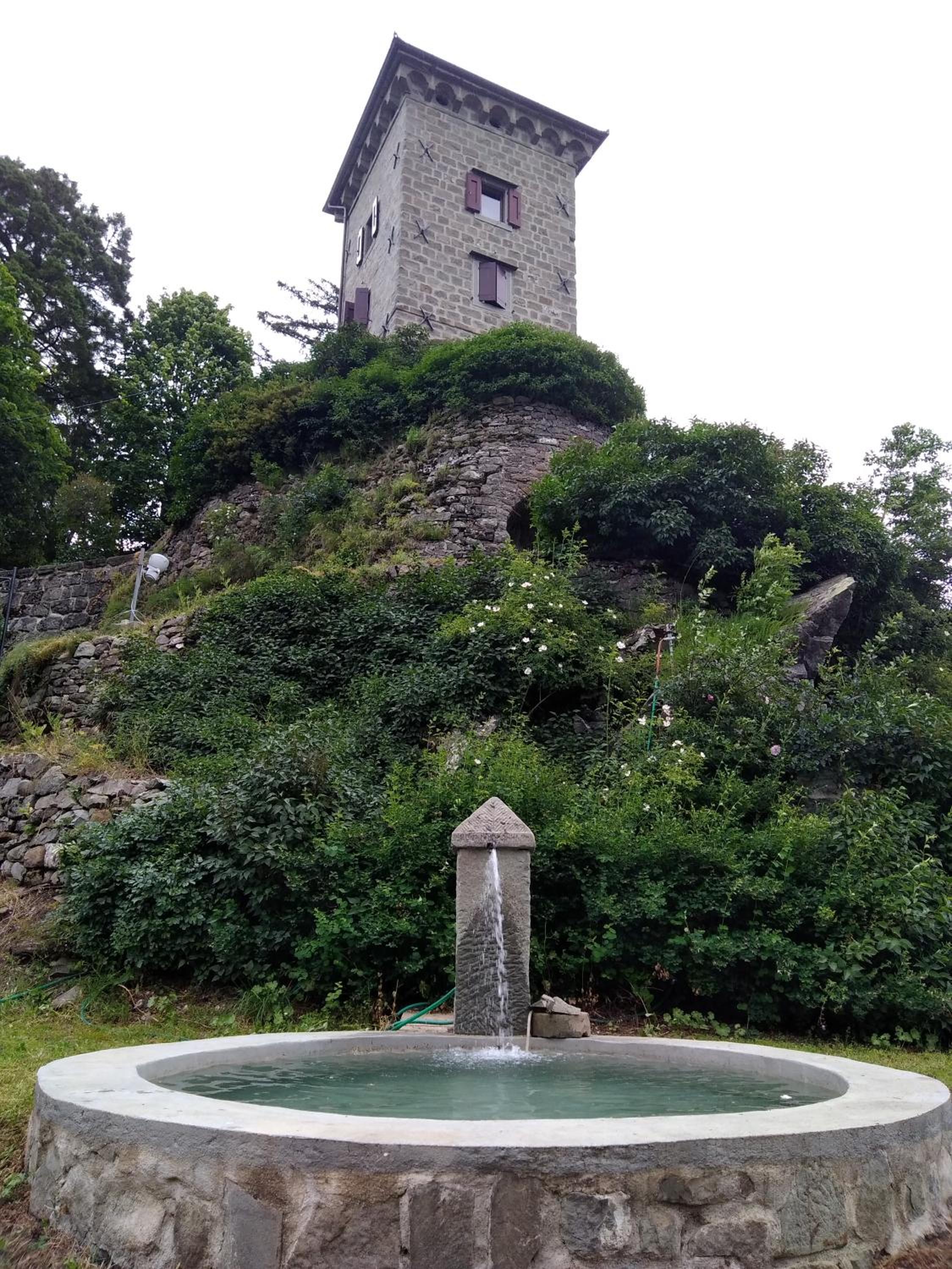 Photo 45