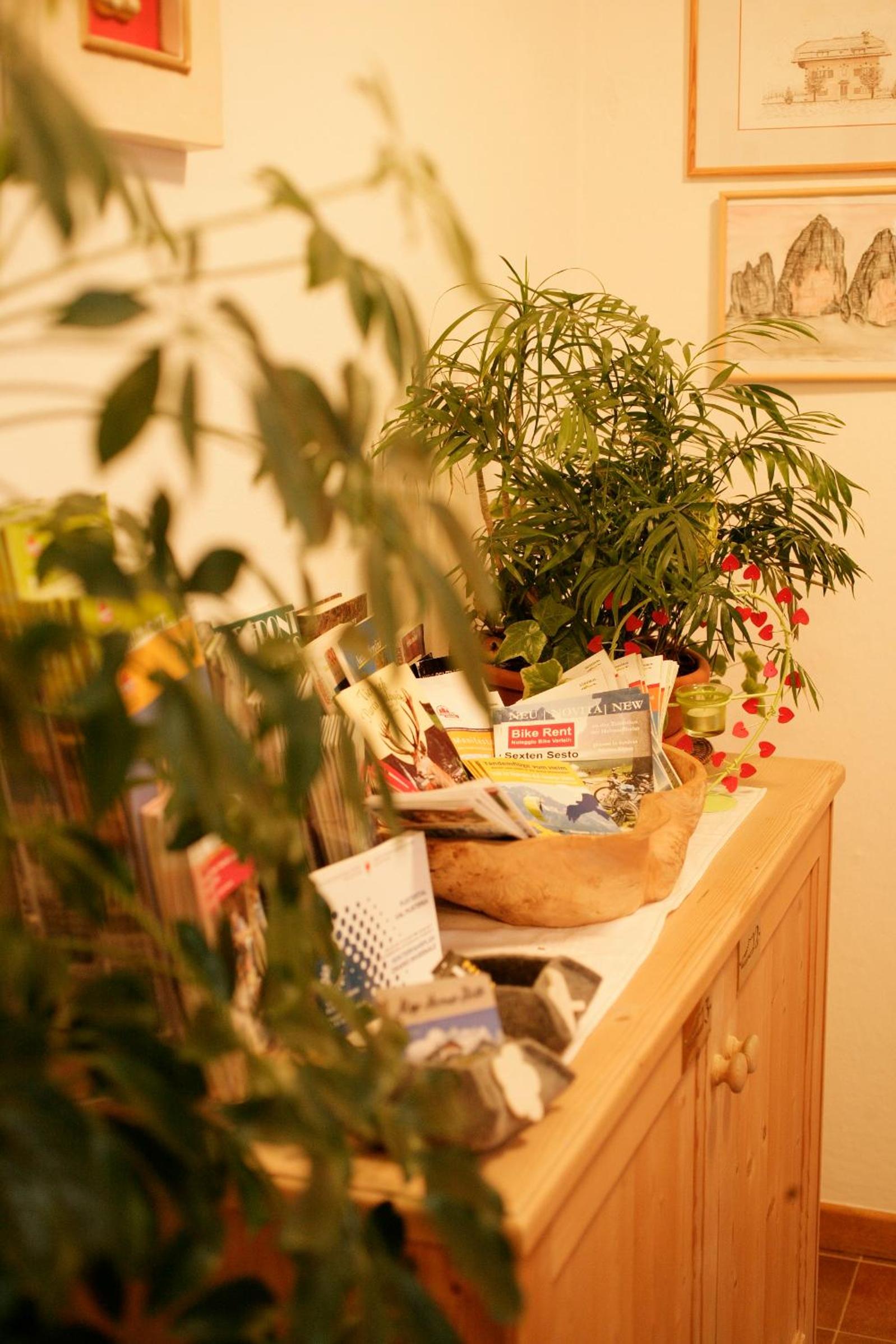 Photo 44