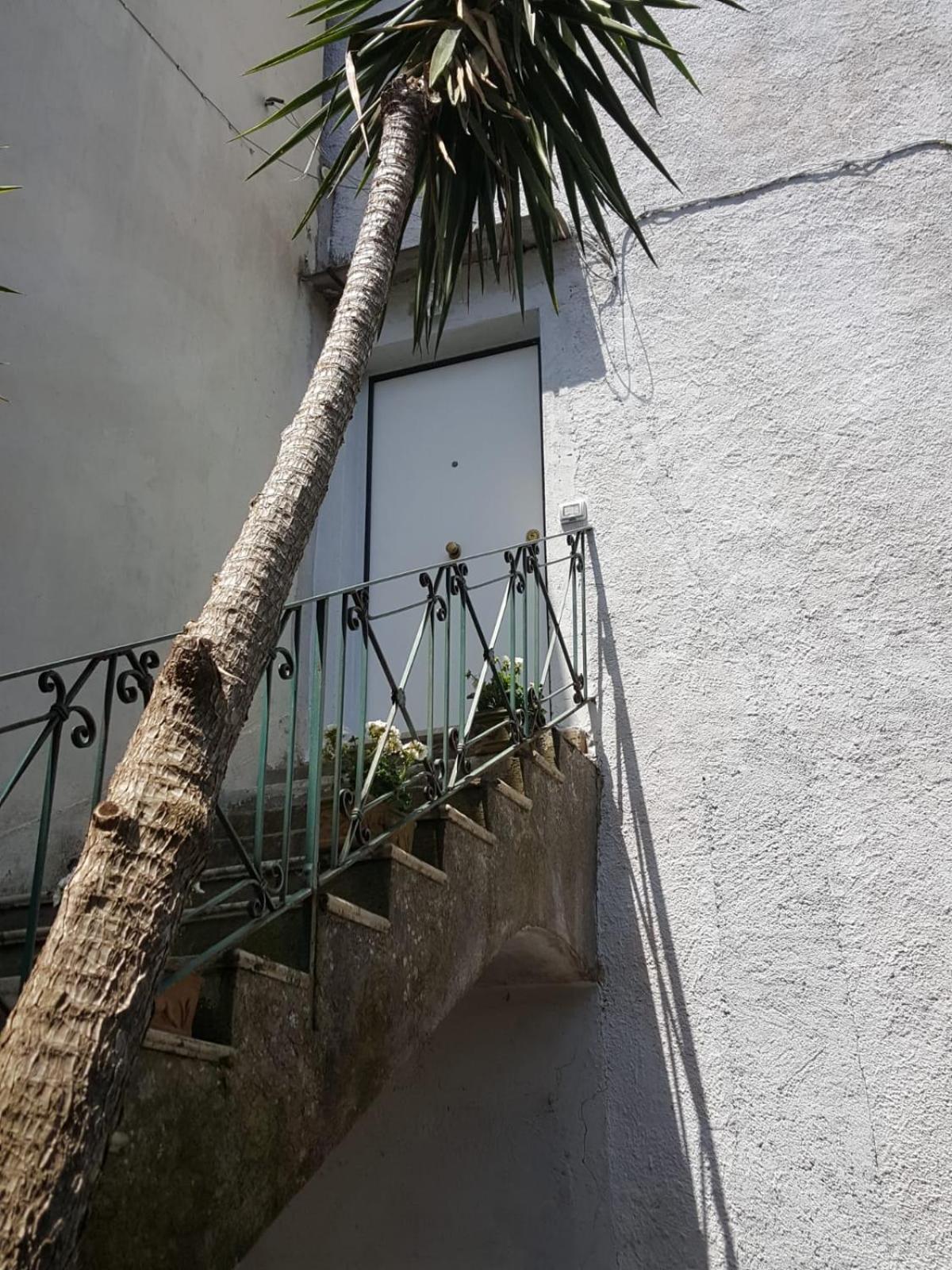 My Home Sorrento view 4