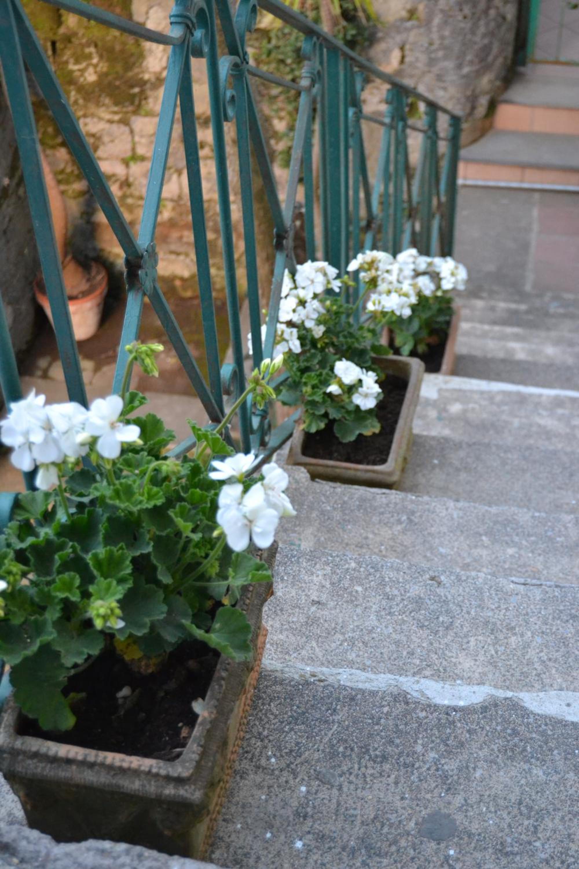 My Home Sorrento view 3