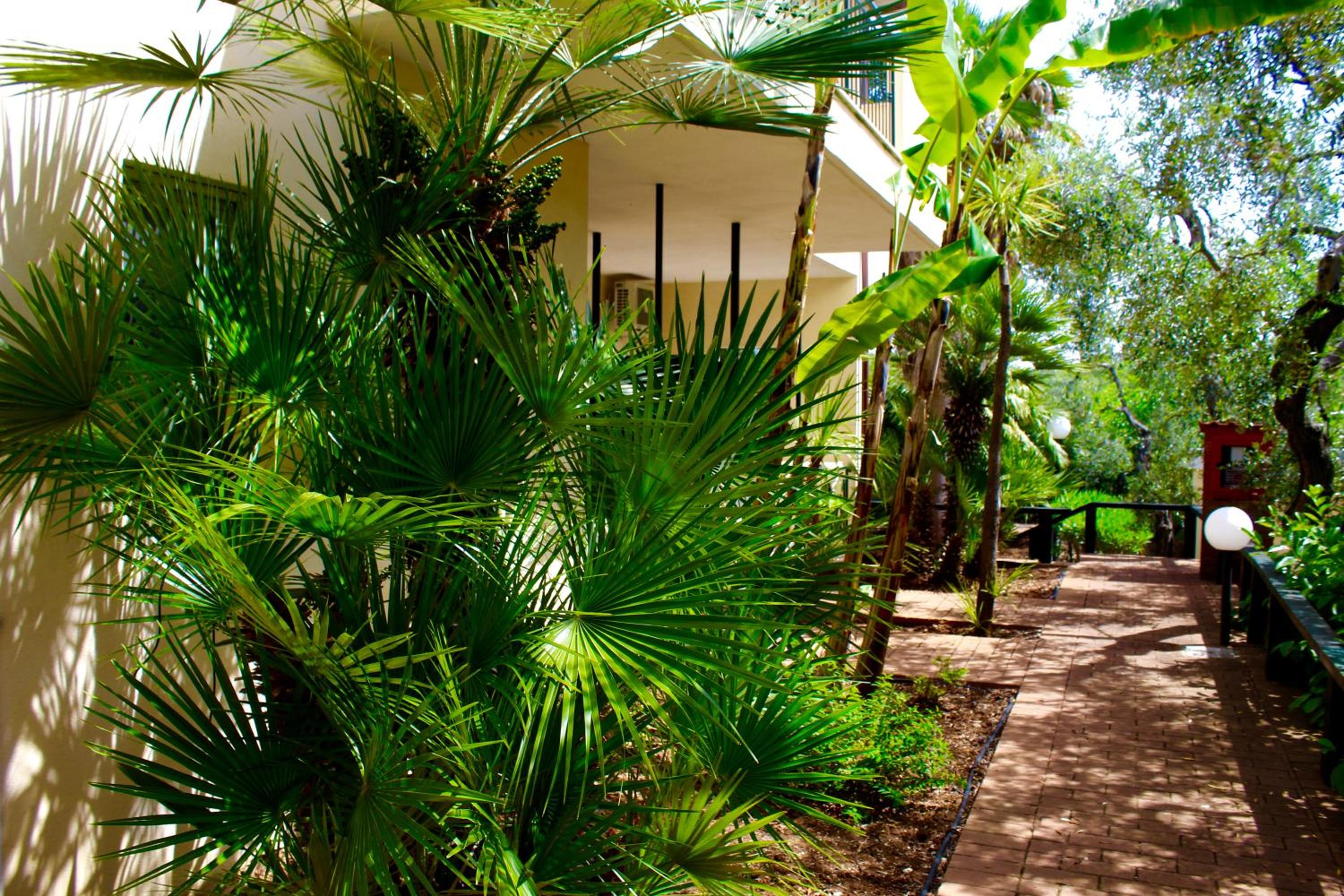 garden