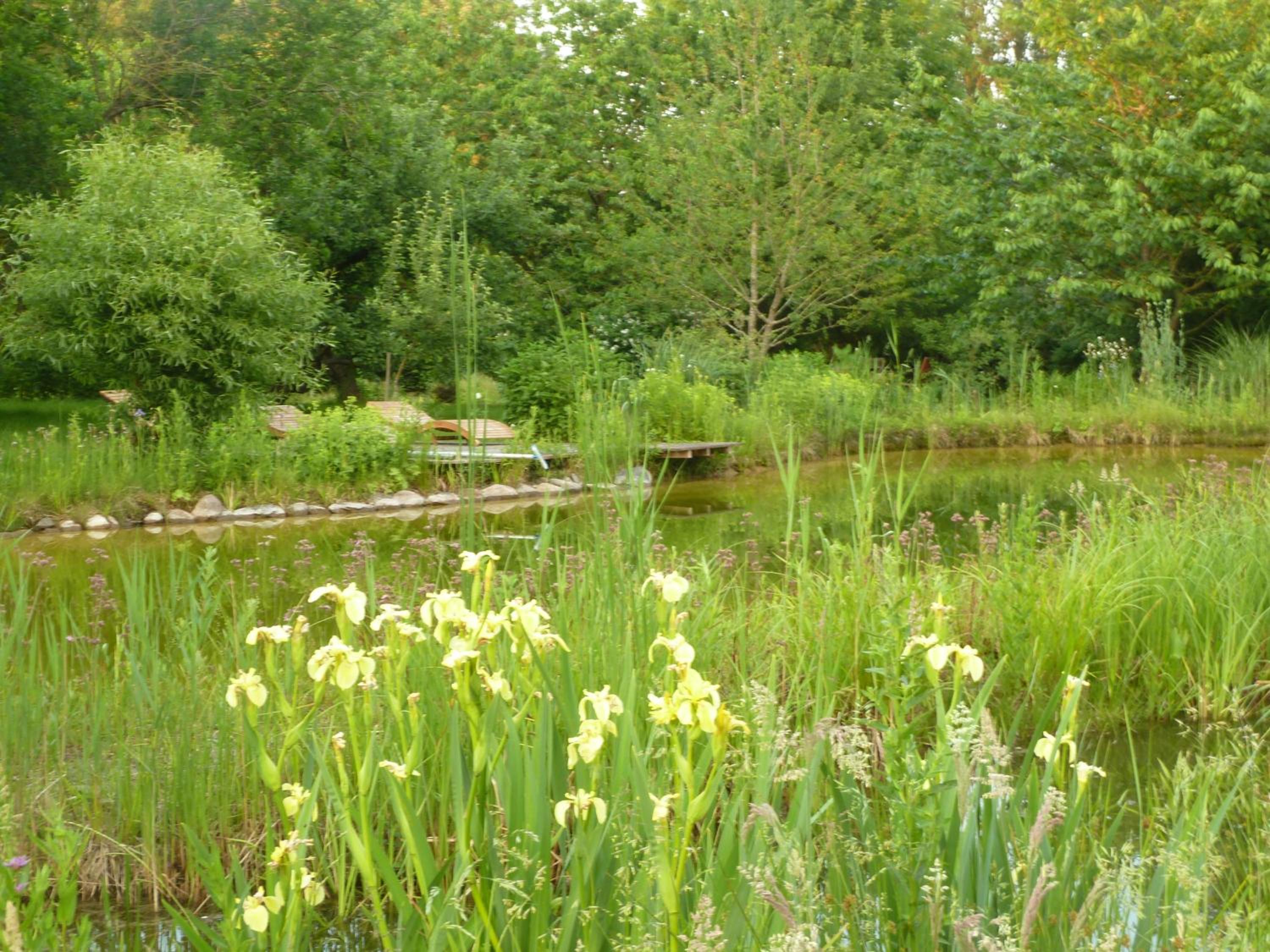 Photo 17