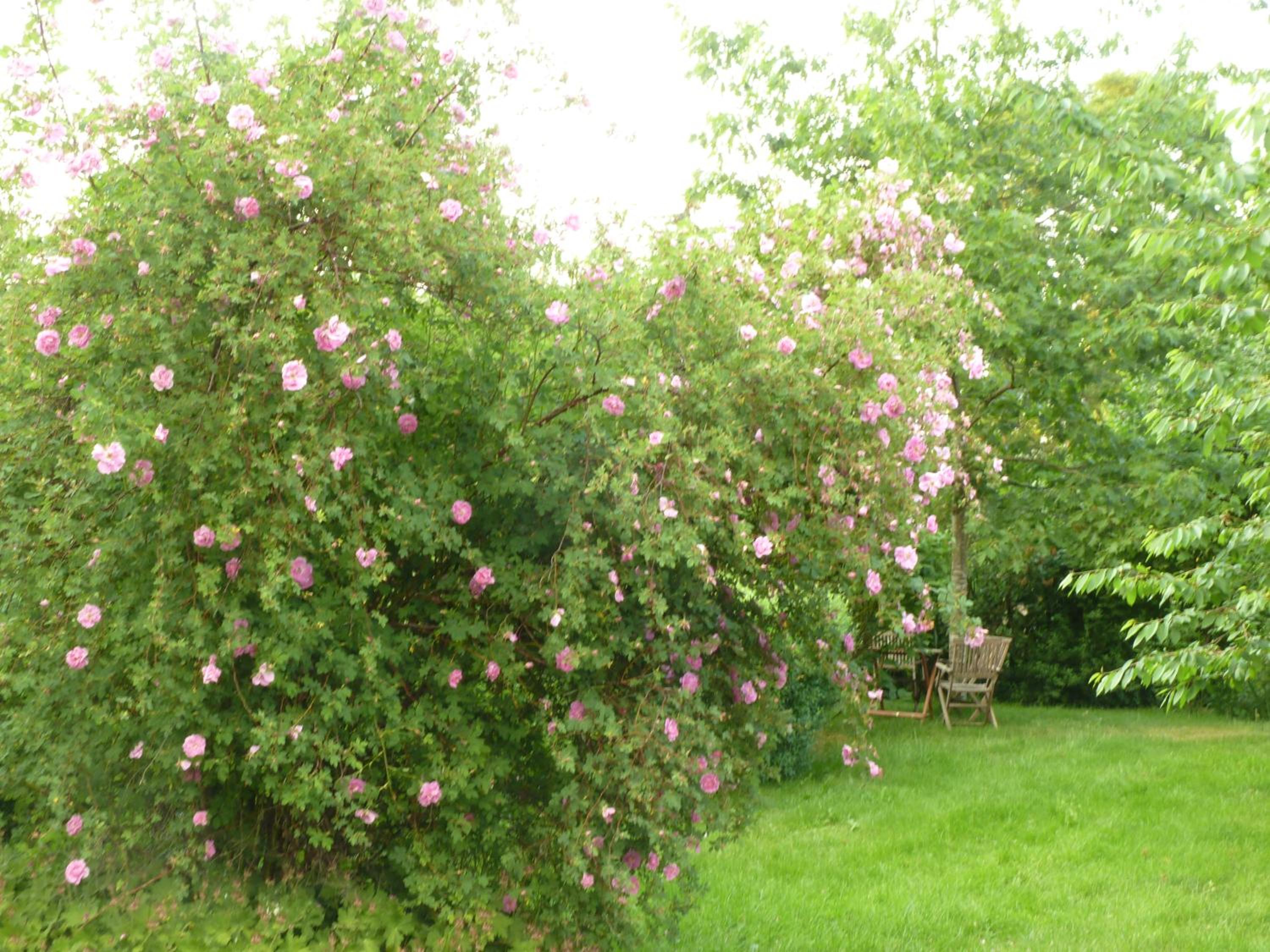 Photo 31