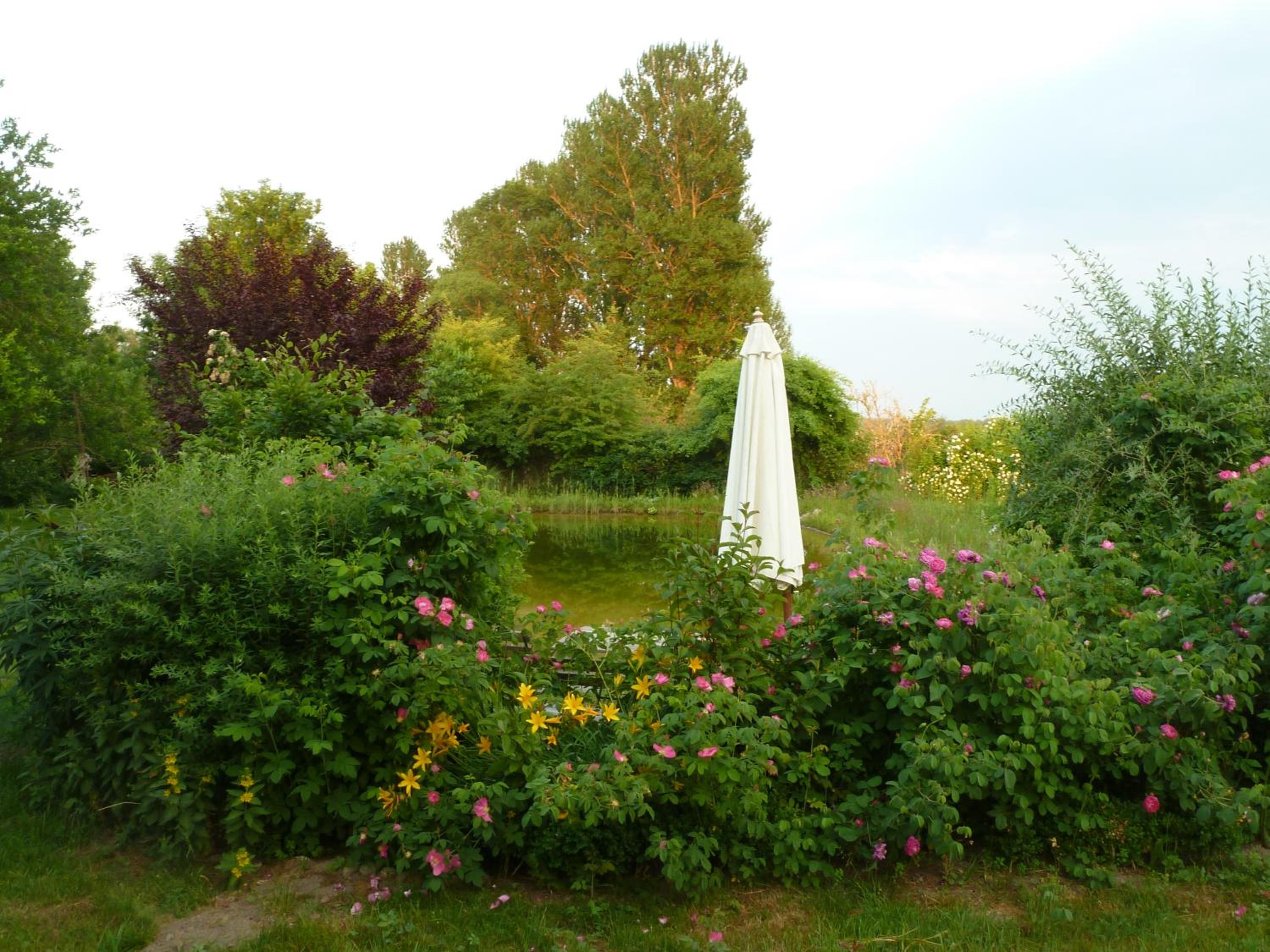 Photo 19