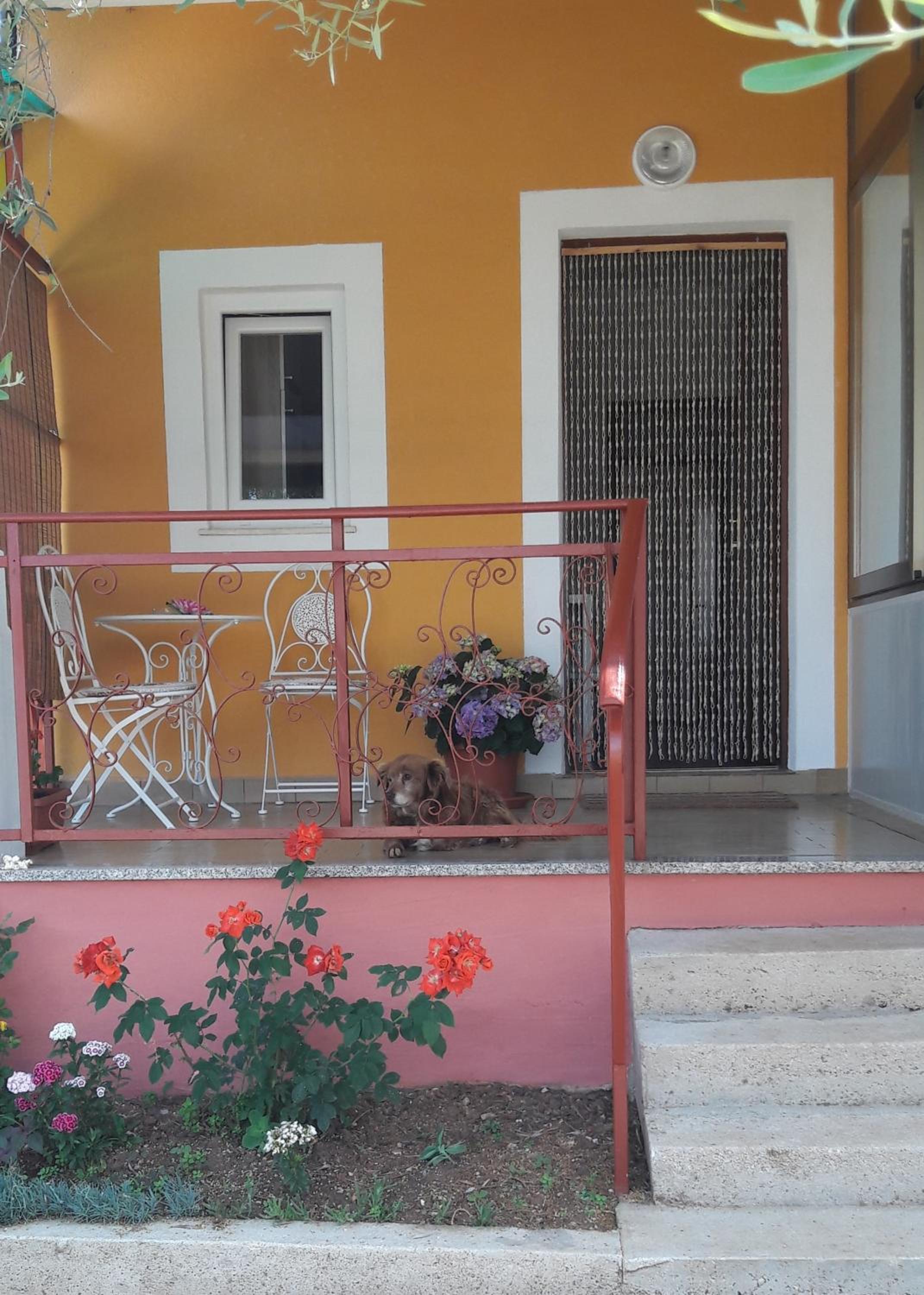 Apartman Dea view 4