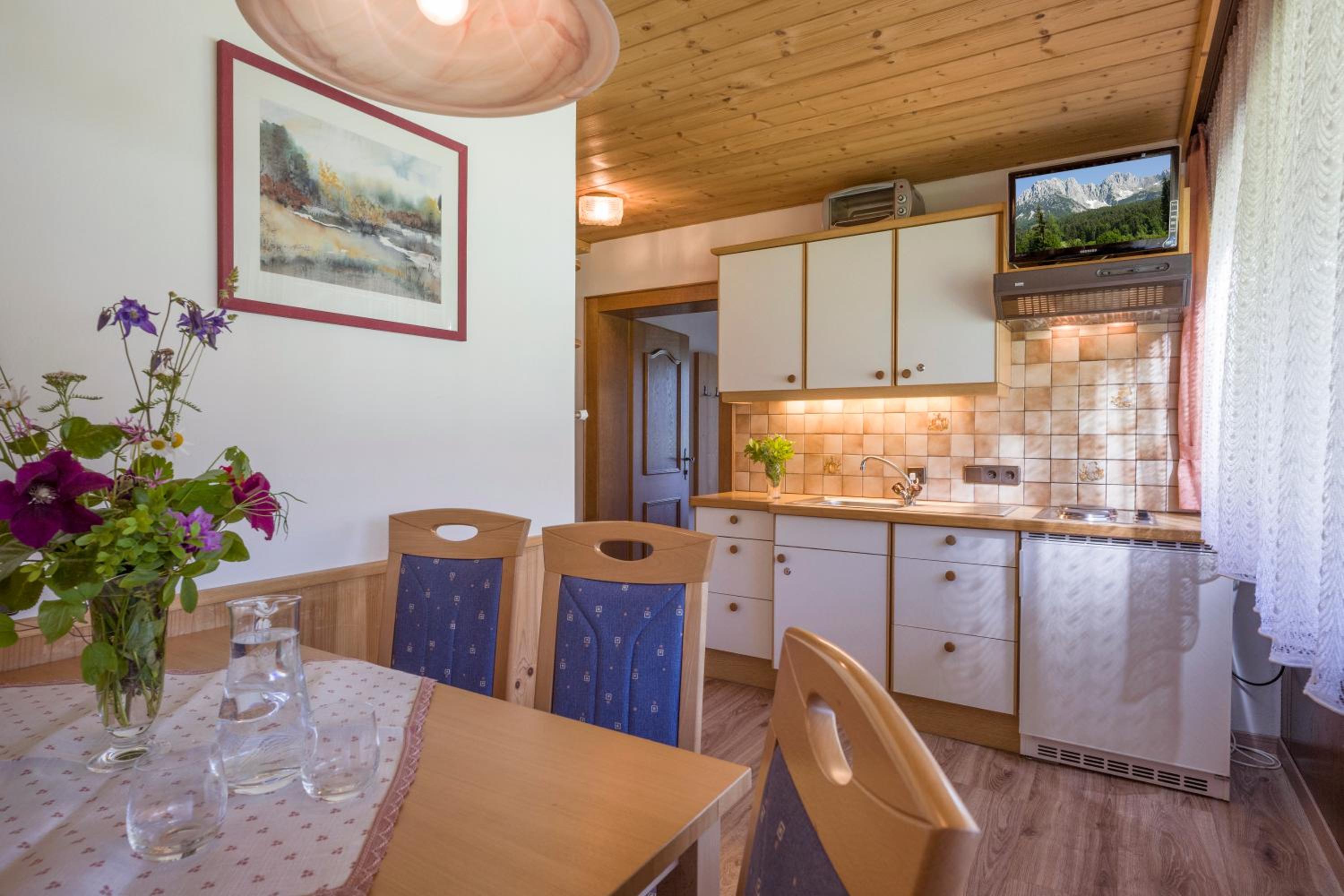 otto steiner appartements pension ellmau & wilder kaiser