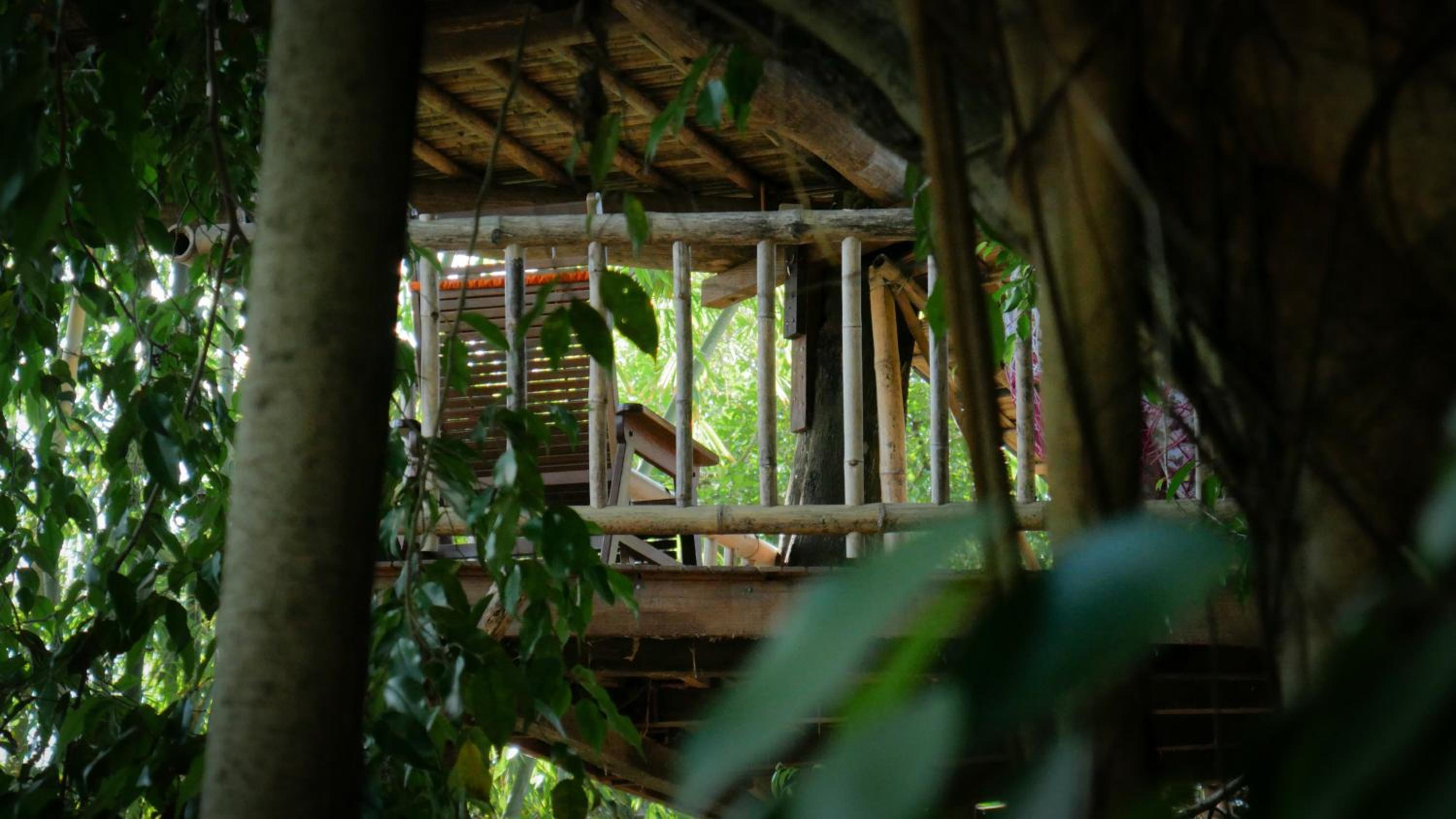 Bukit Raya Guesthouse