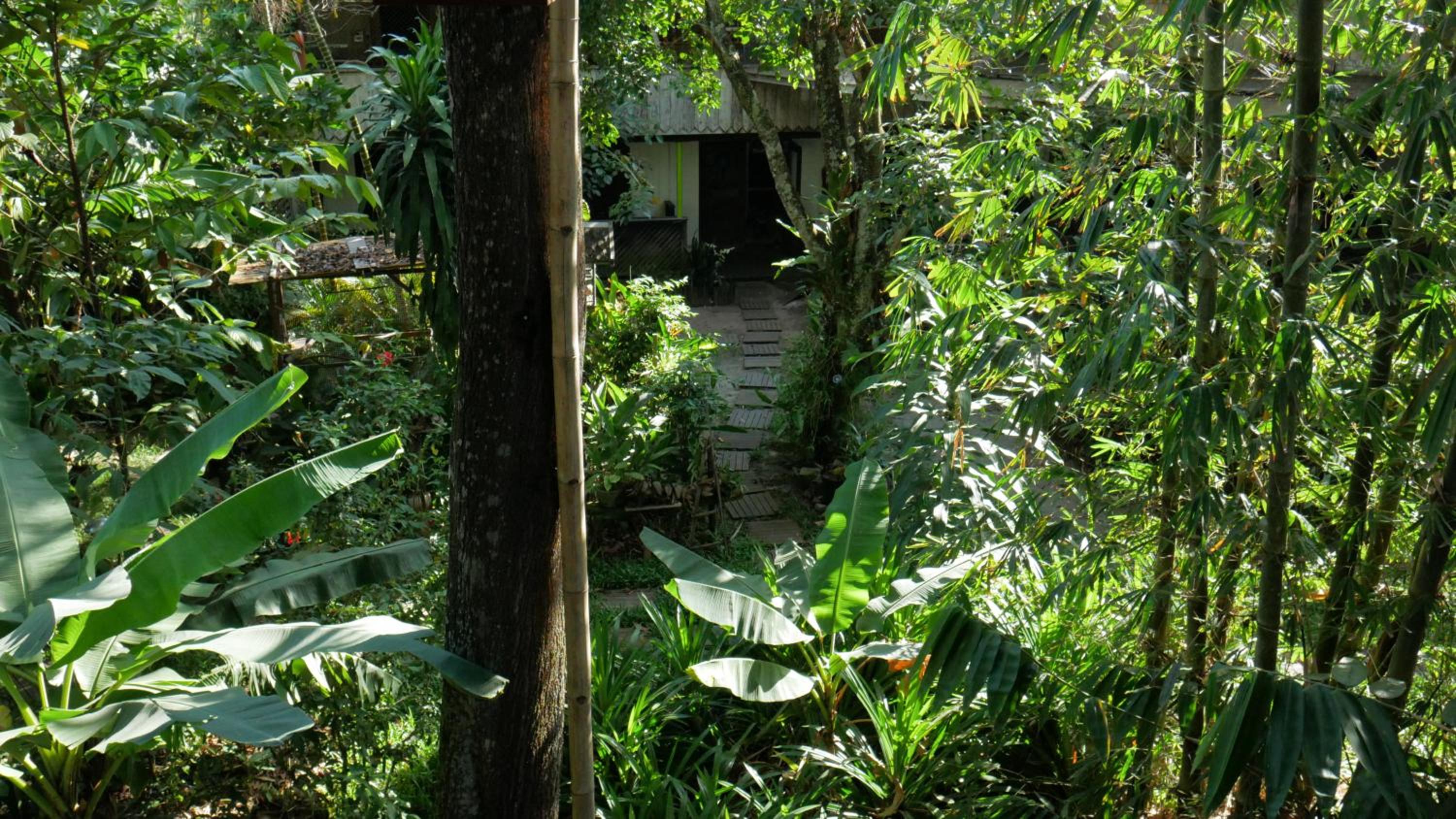 Bukit Raya Guesthouse