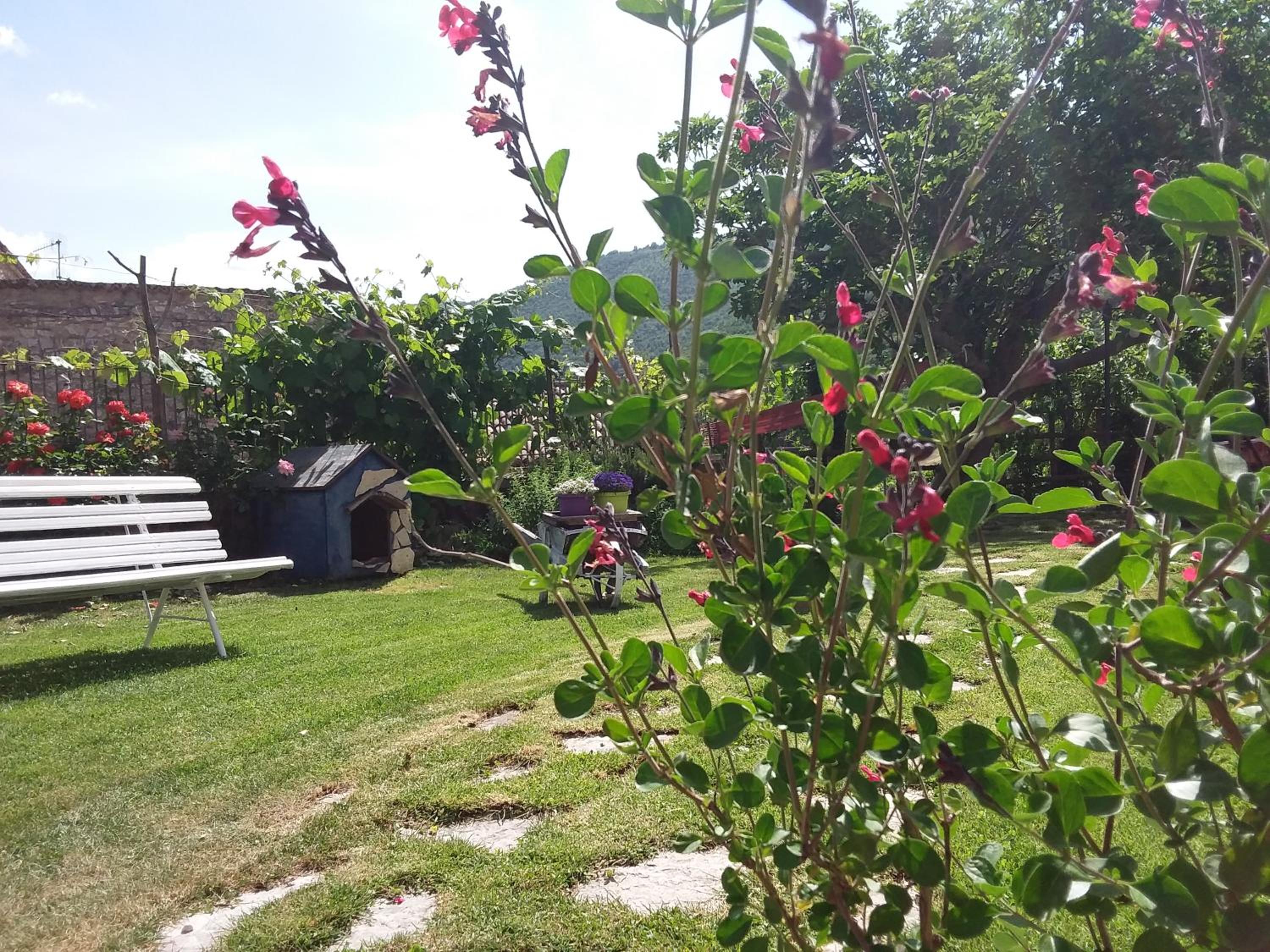 Agriturismo campagna in compagnia