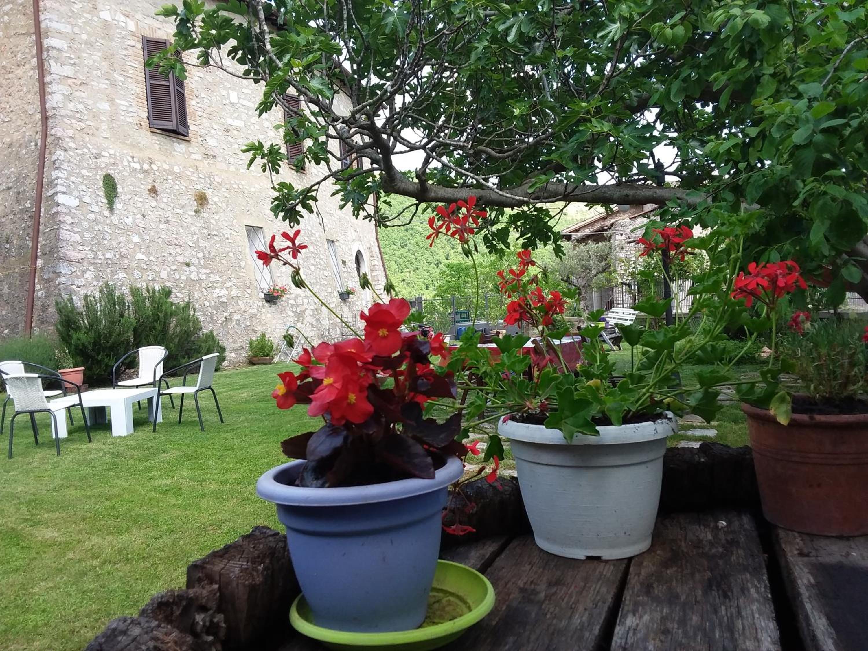 Agriturismo campagna in compagnia
