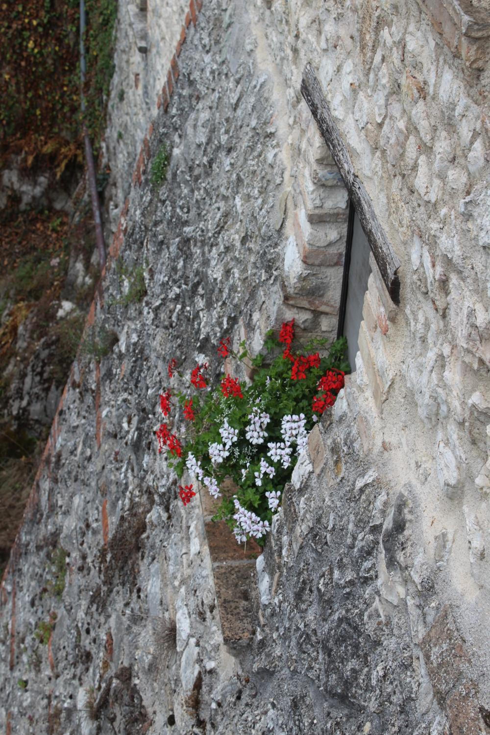 Photo 51