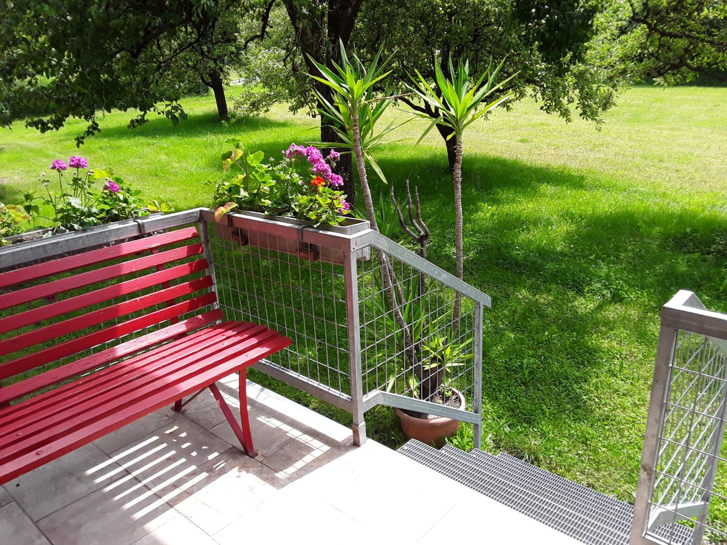 Photo 13
