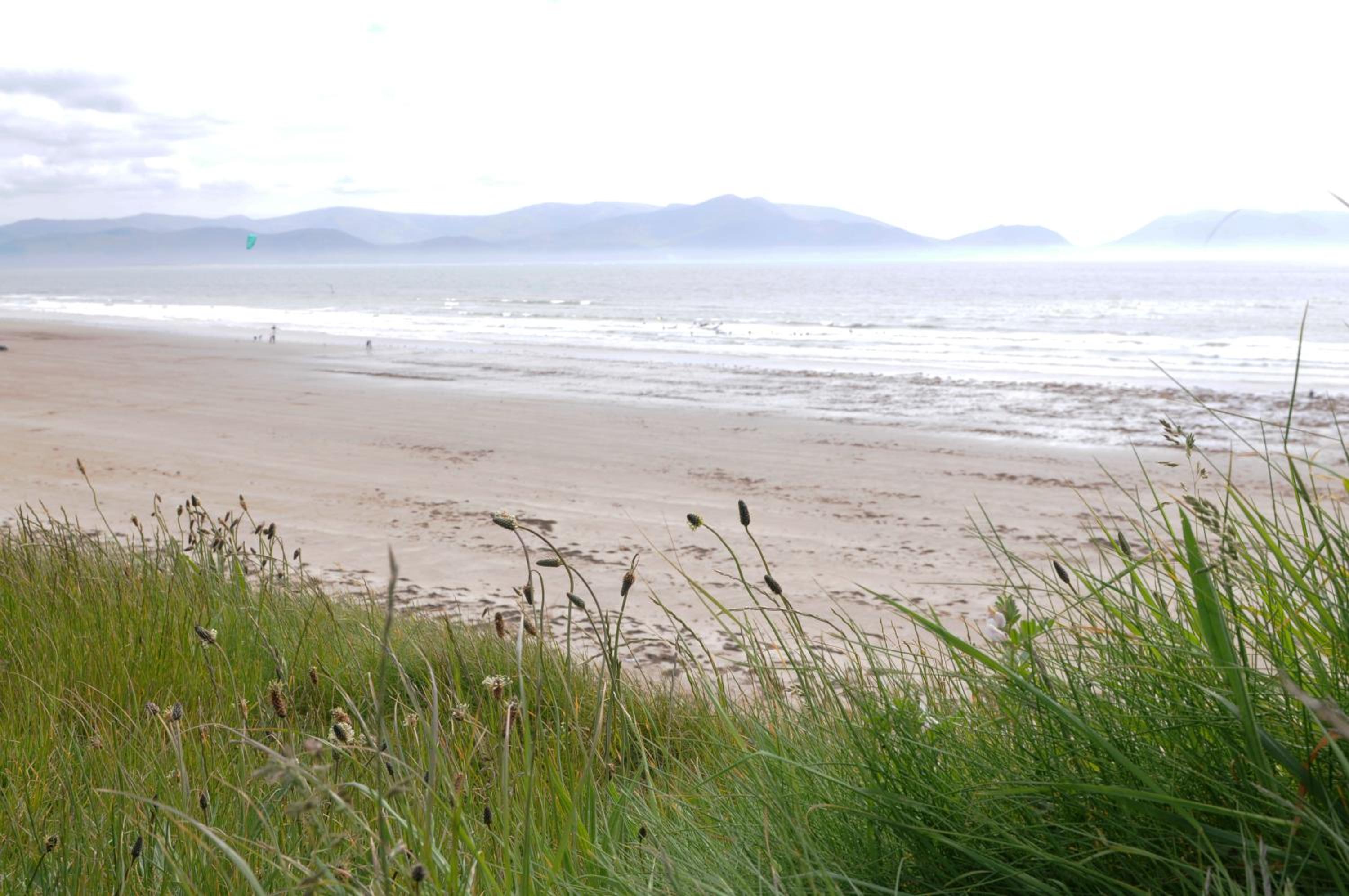 Seascapes