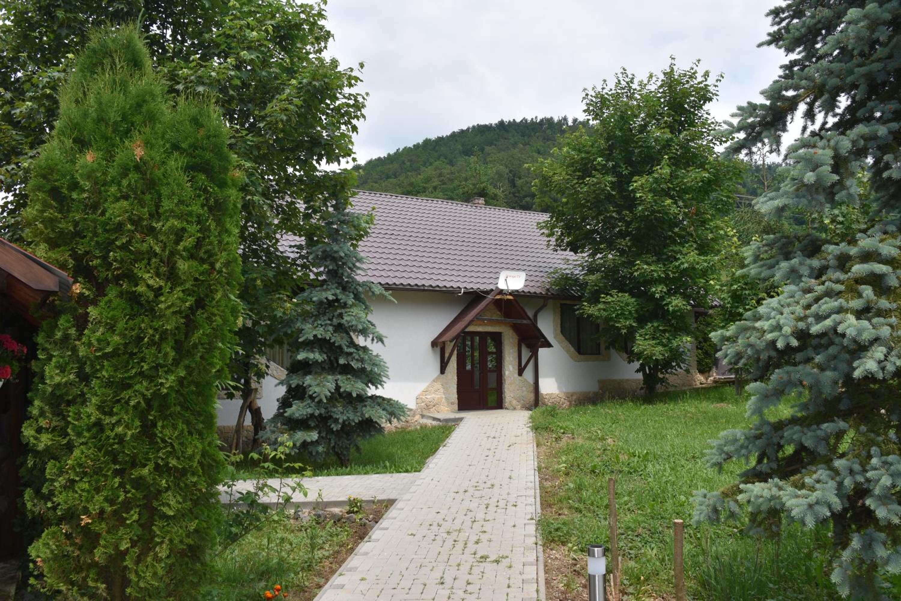 Photo 33