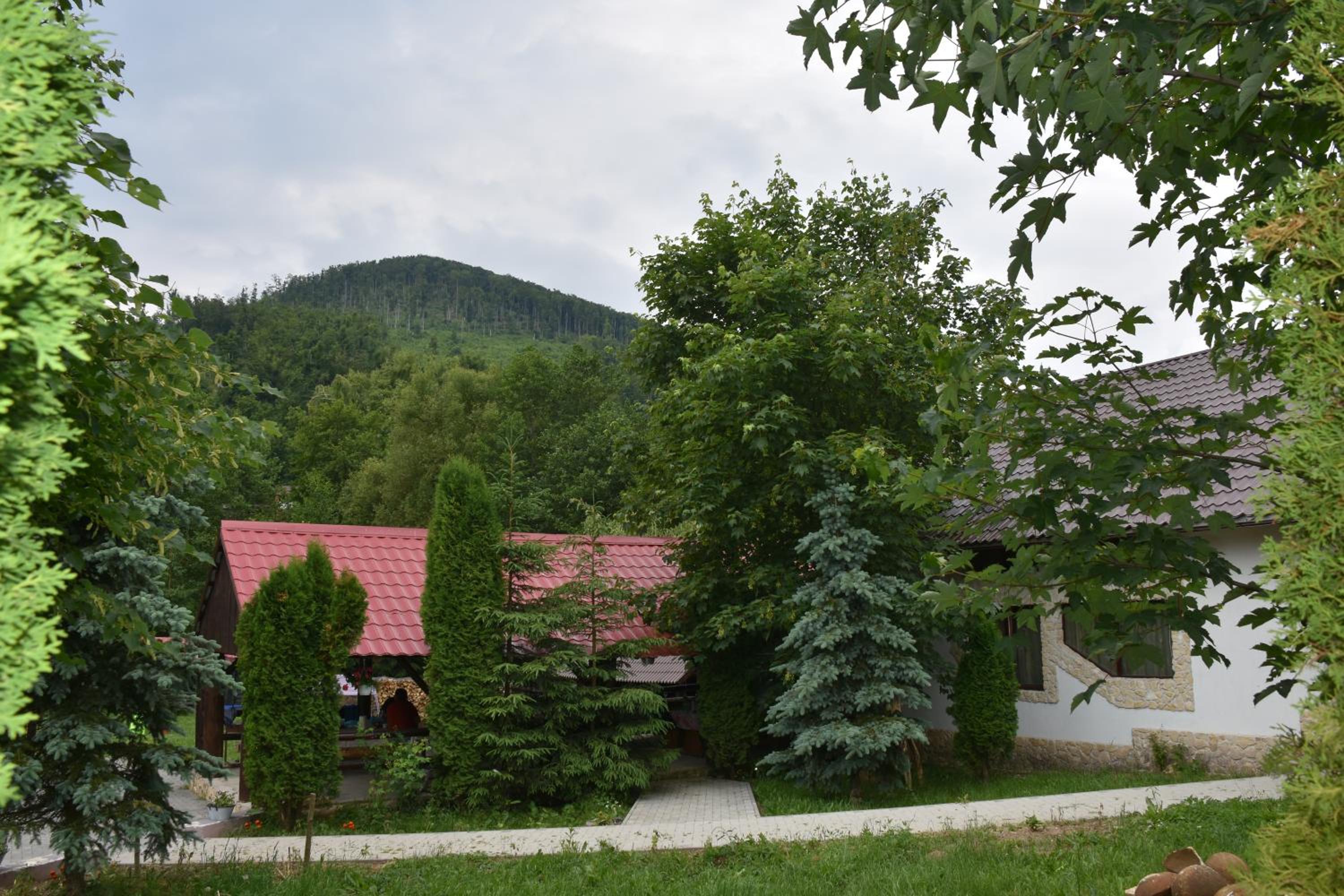 Photo 37