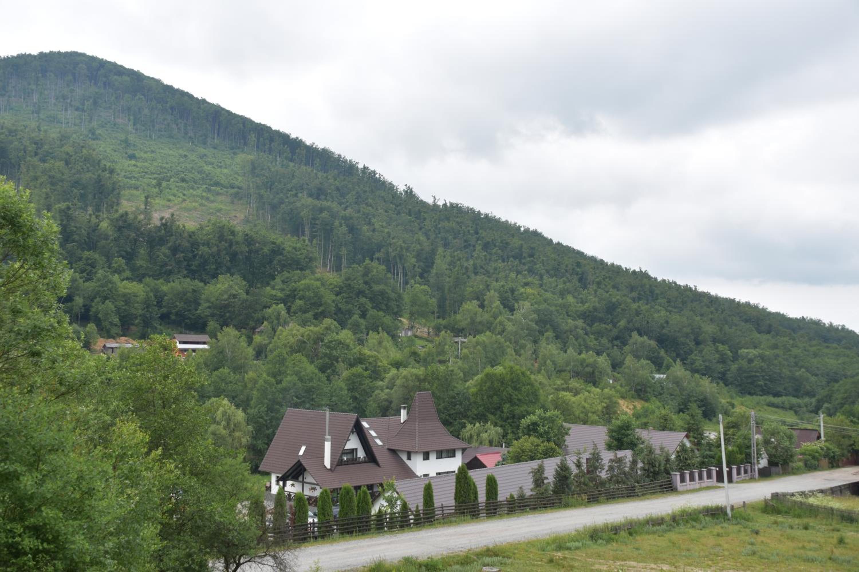 Photo 42