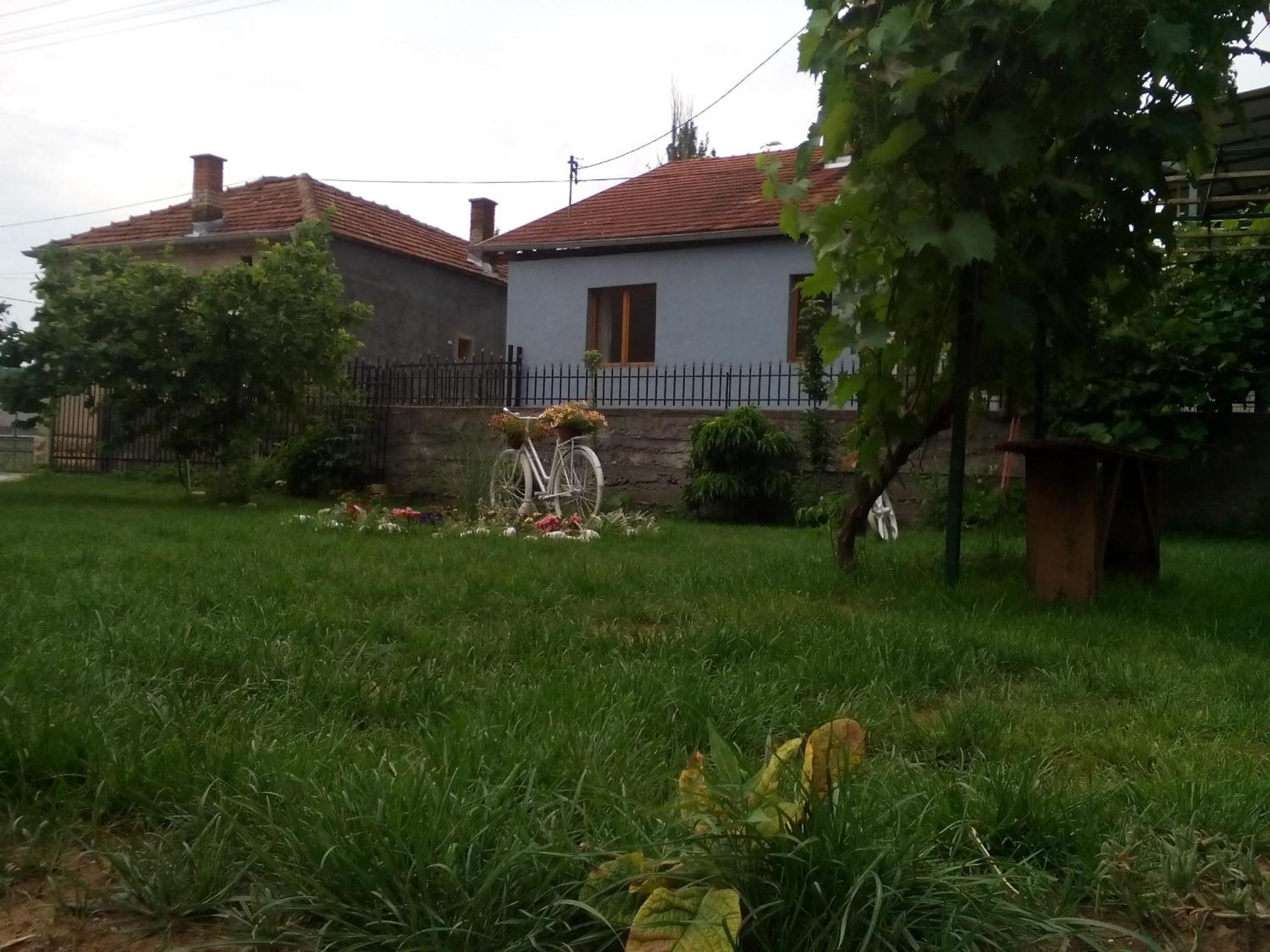 Photo 100