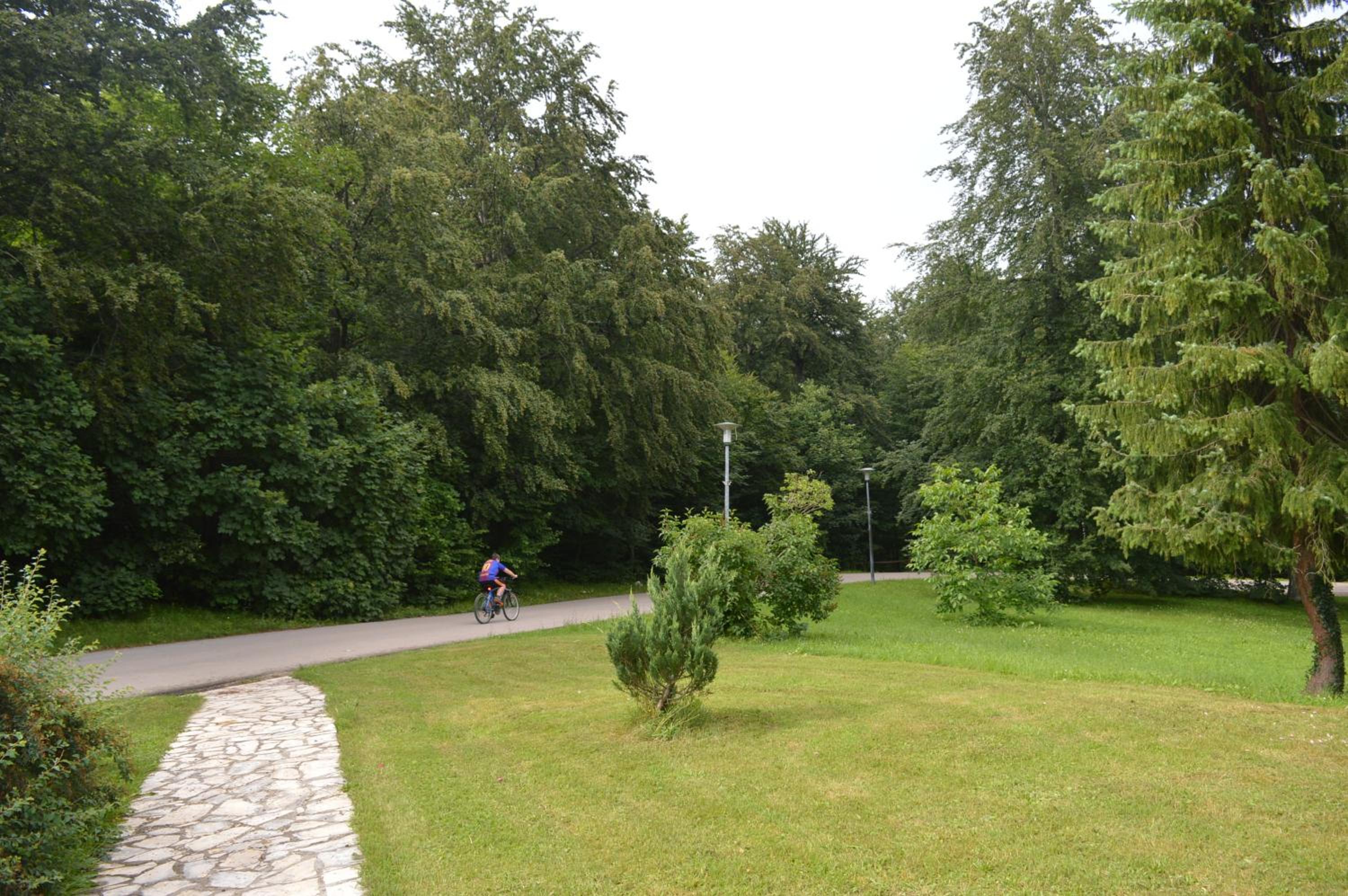 Photo 25