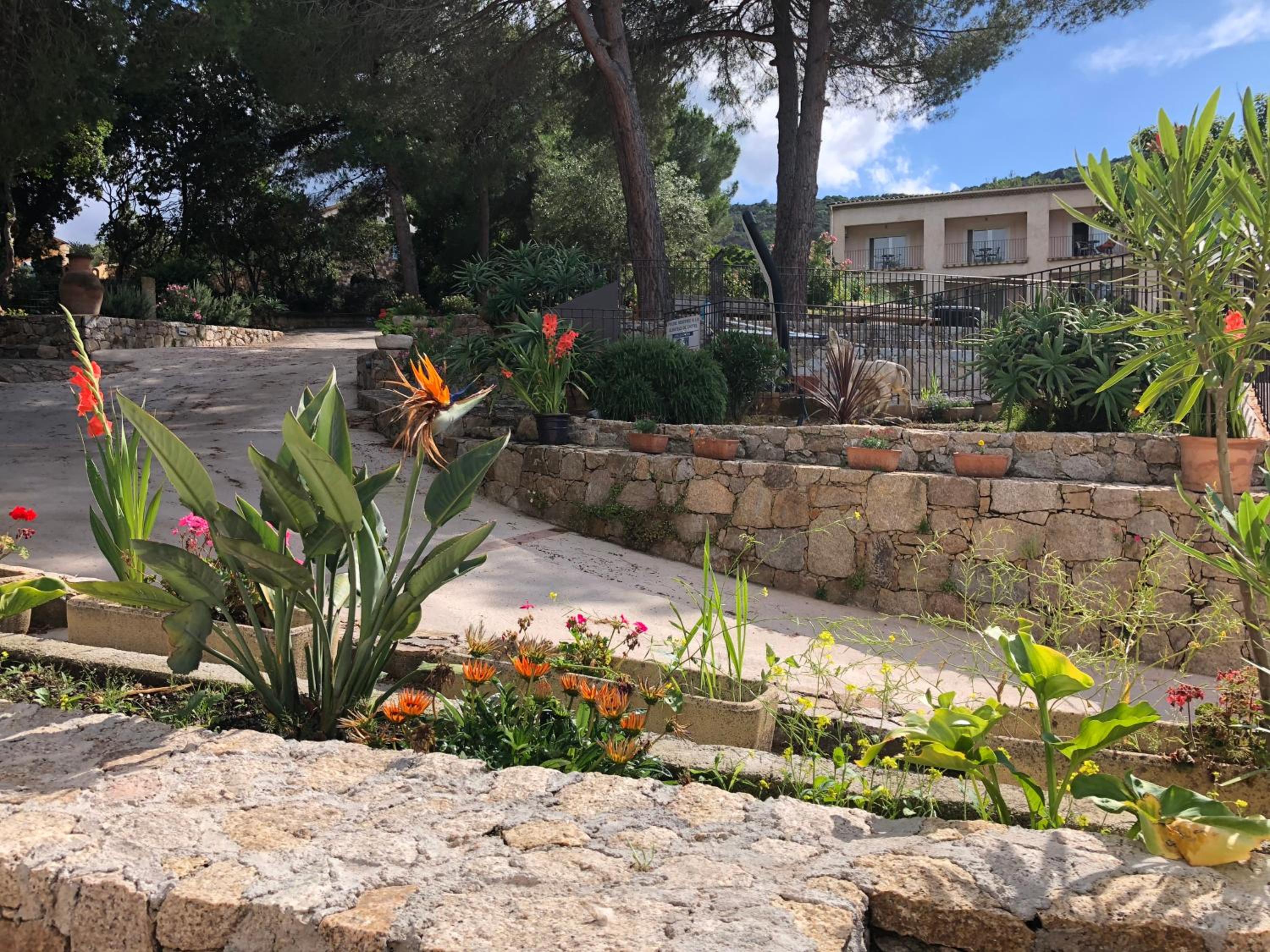 garden