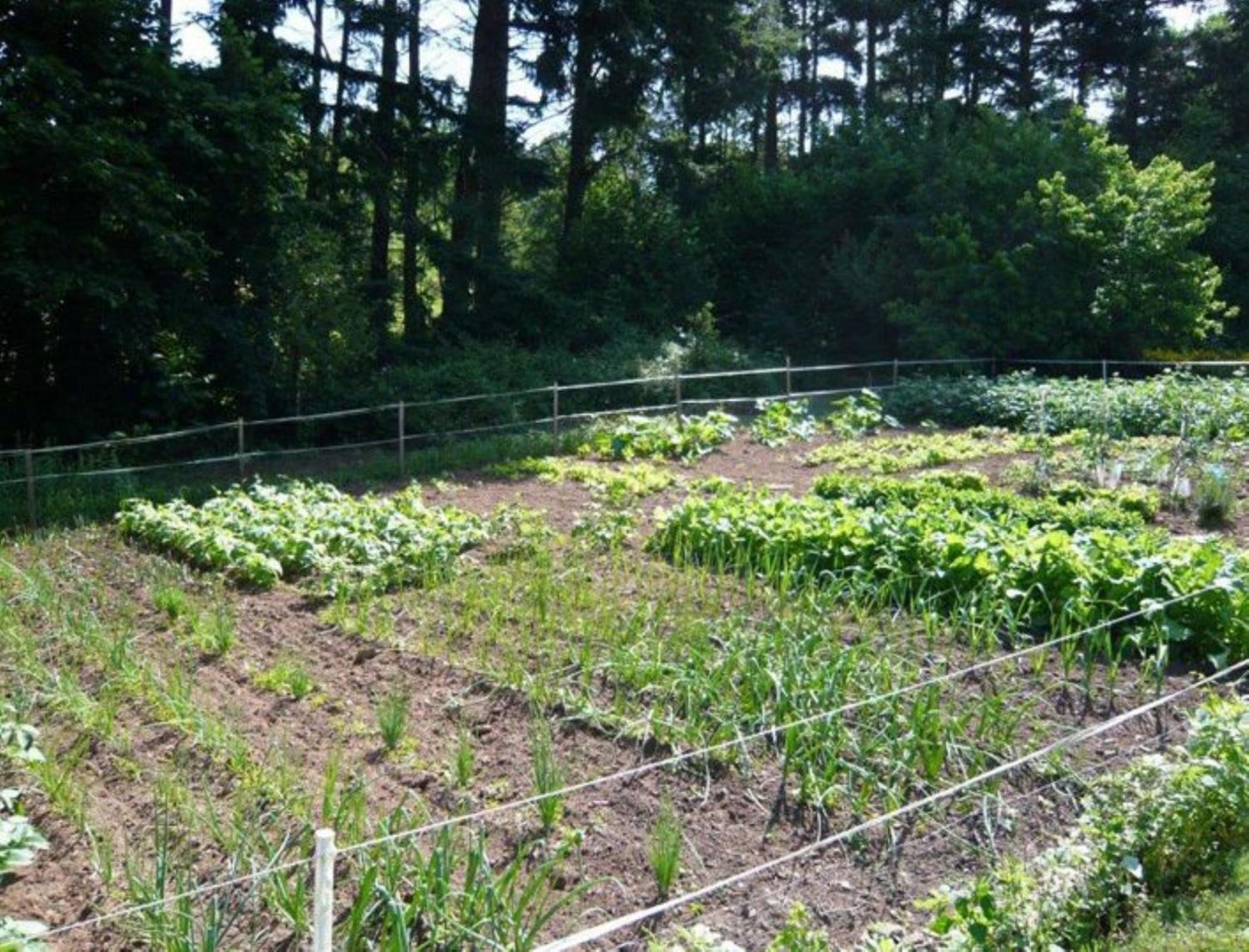 Chambres d'Hotes Baudelys - Property Image 46