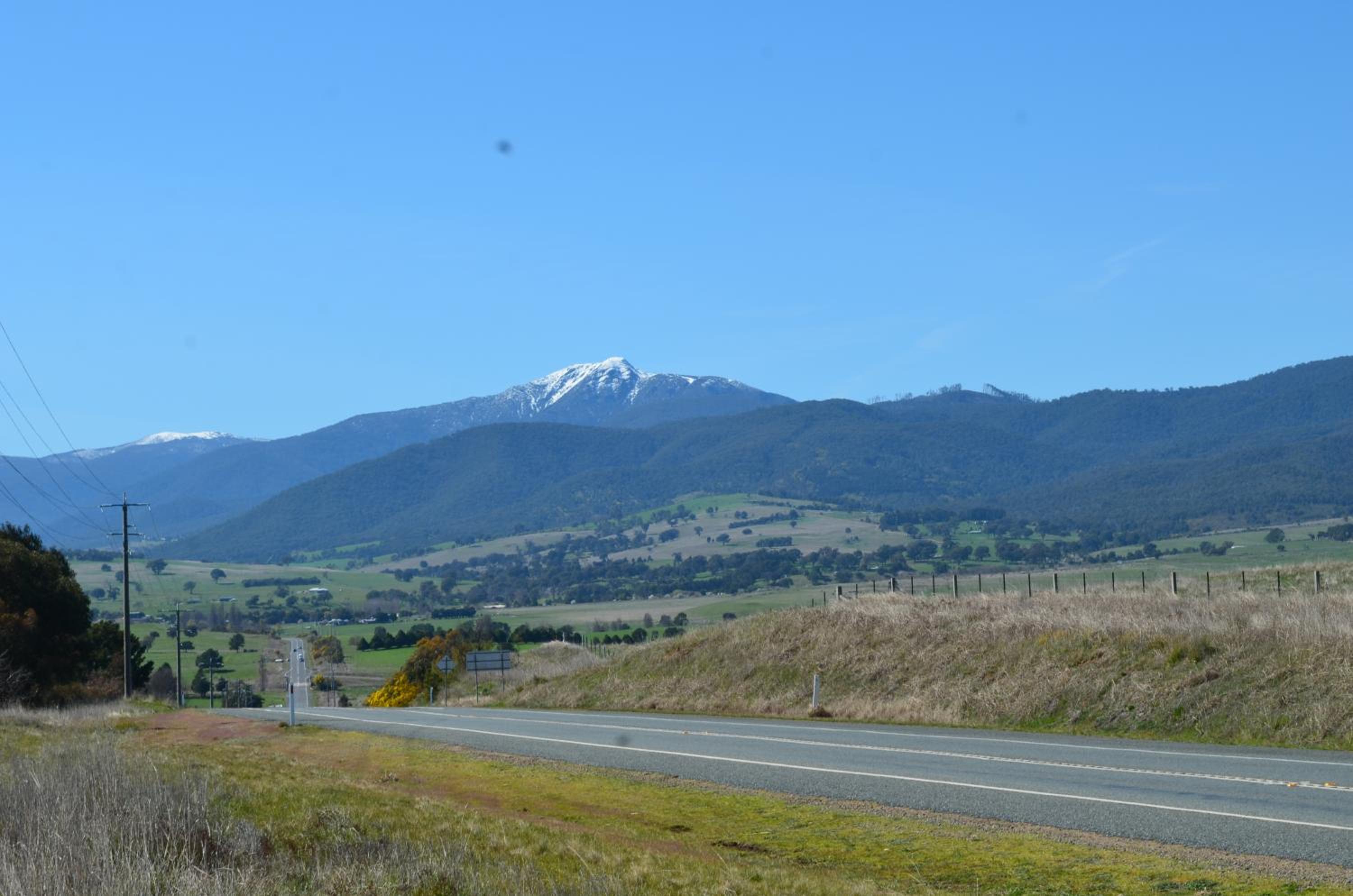 Photo 42