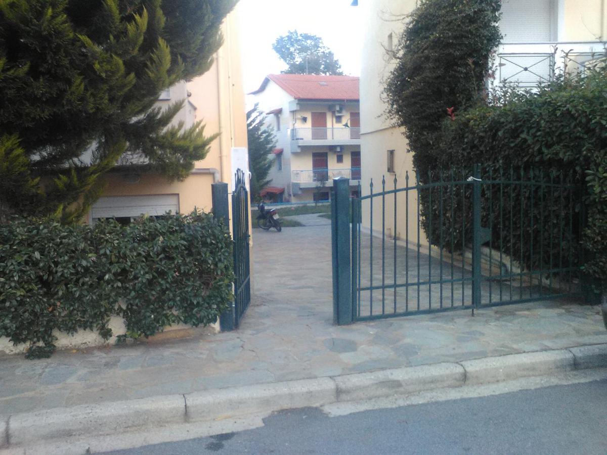 Photo 22