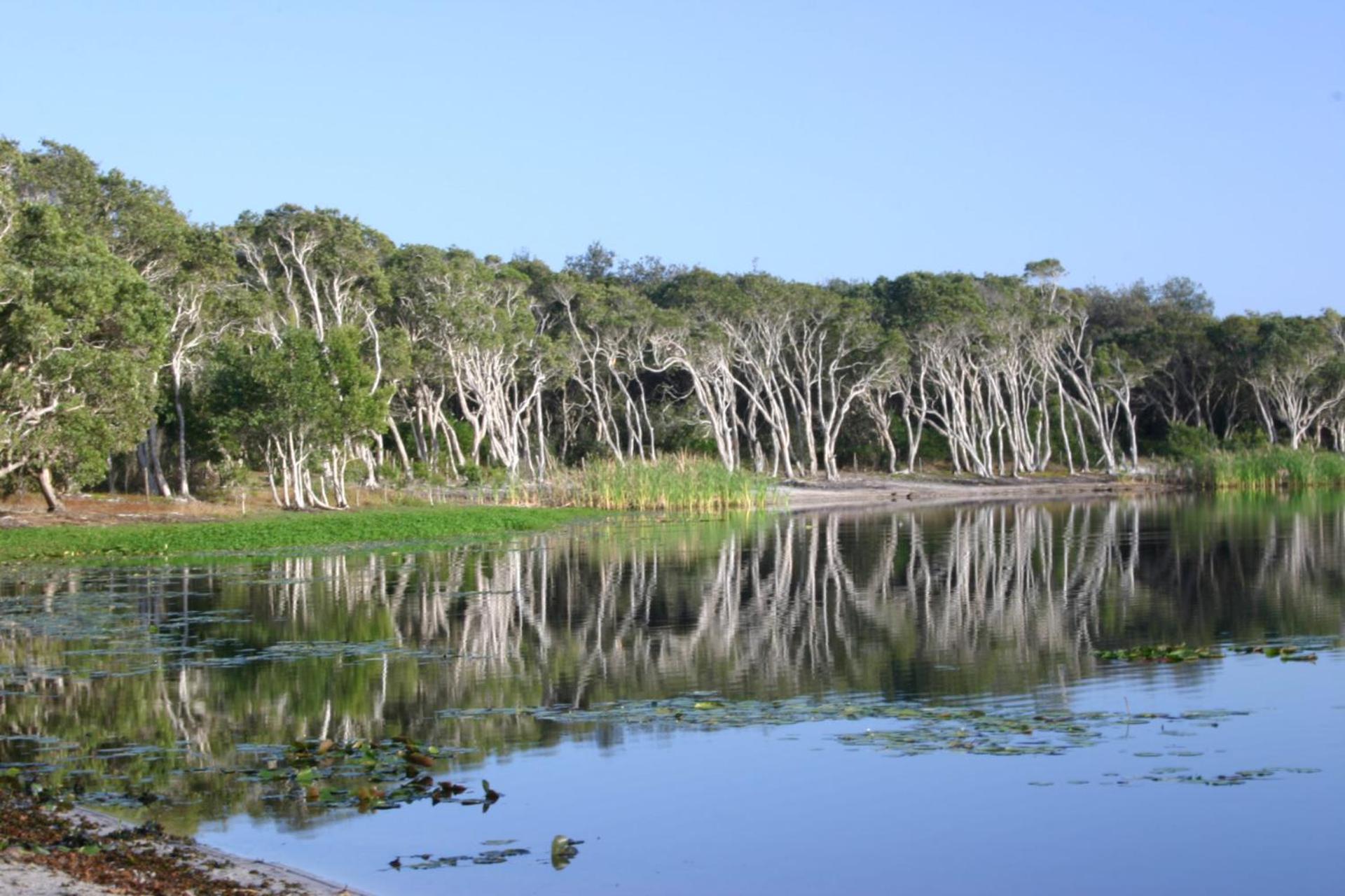 Castions - Lennox Head