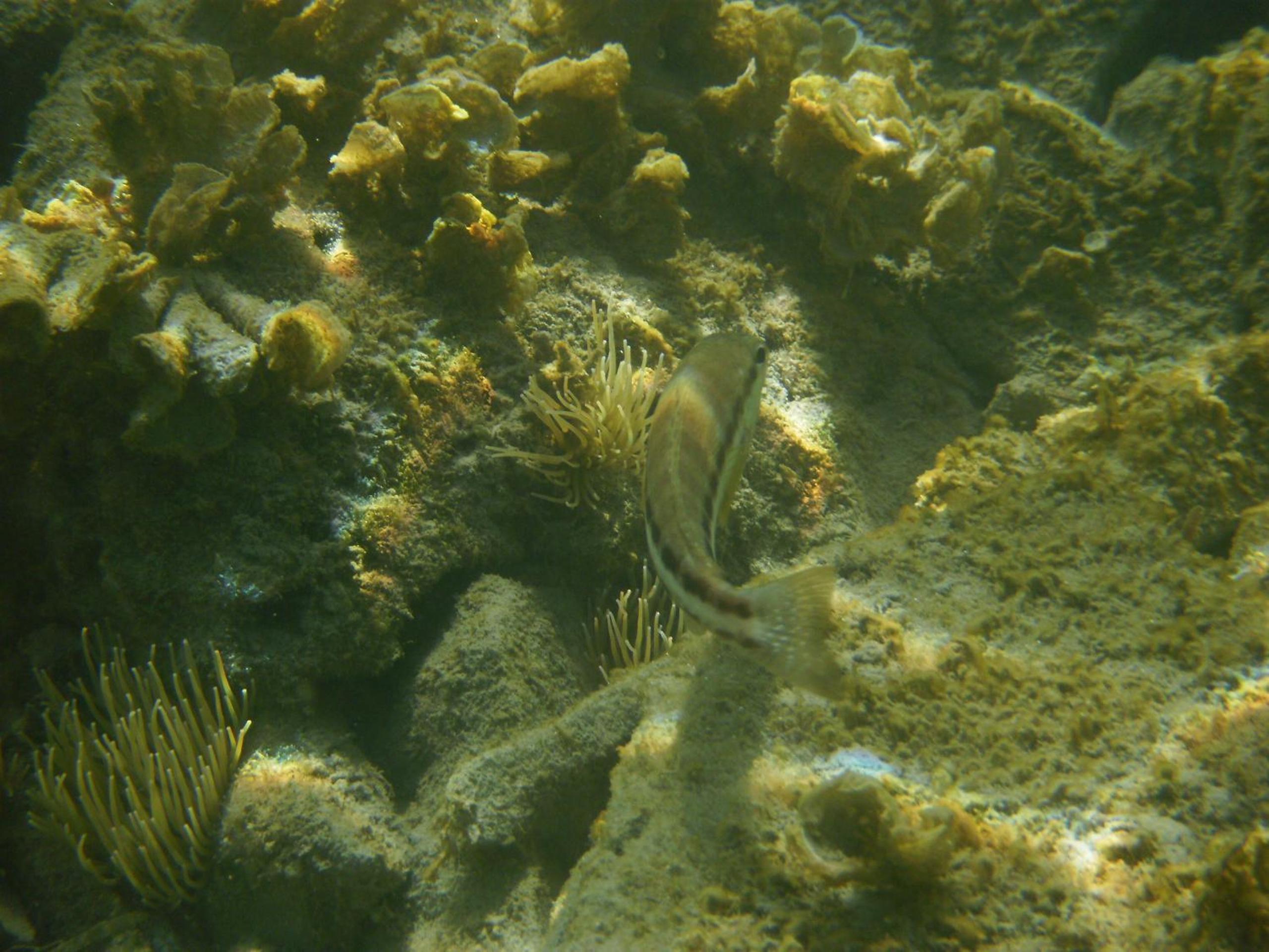 Photo 25