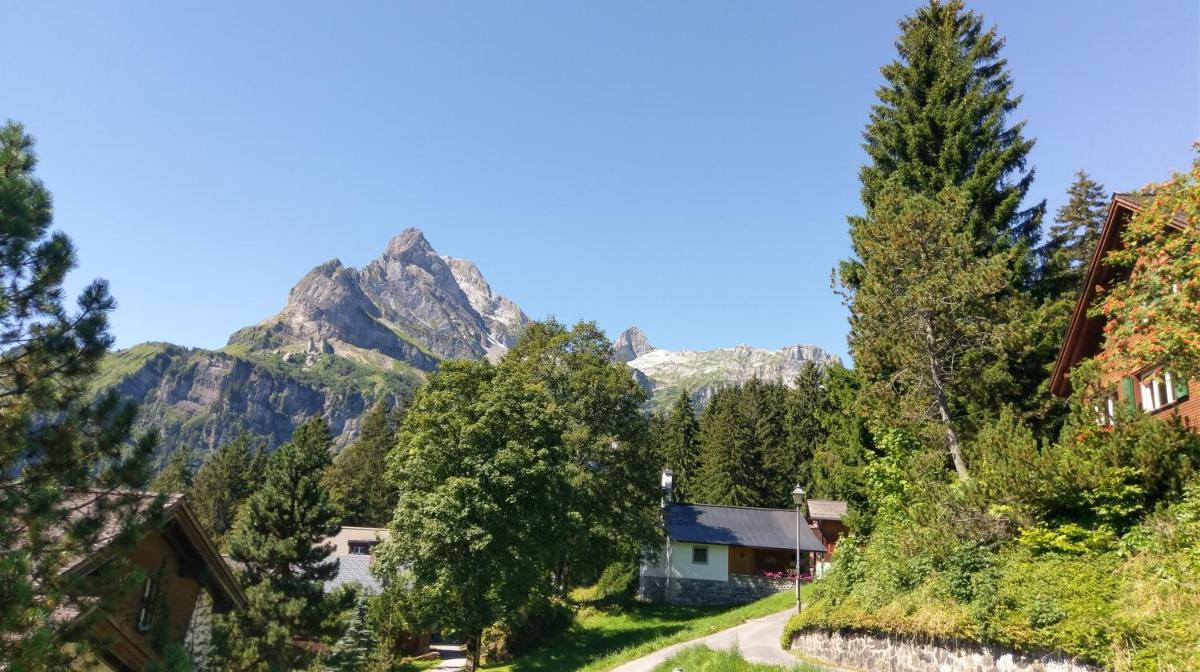 Photo 23