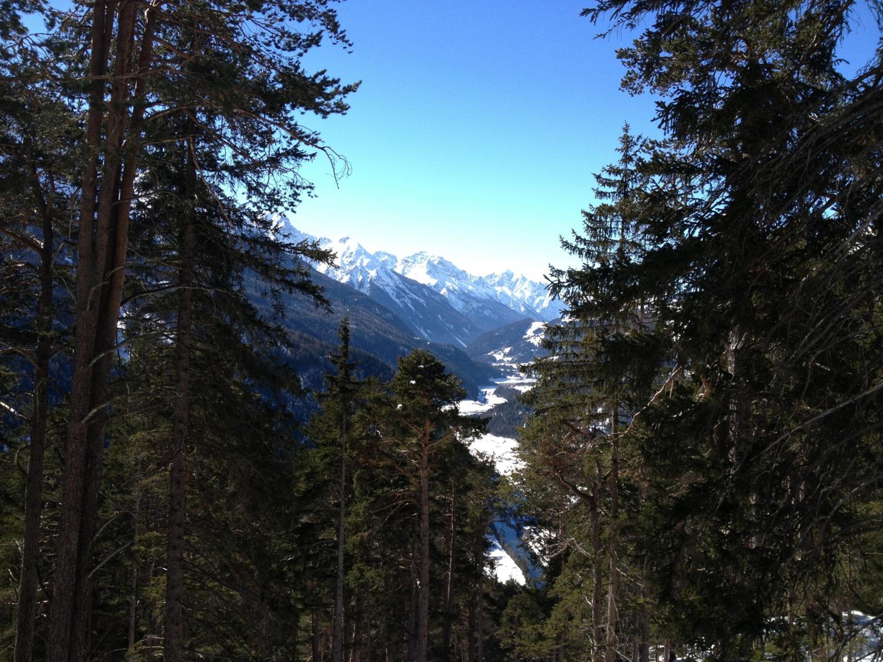 Photo 45