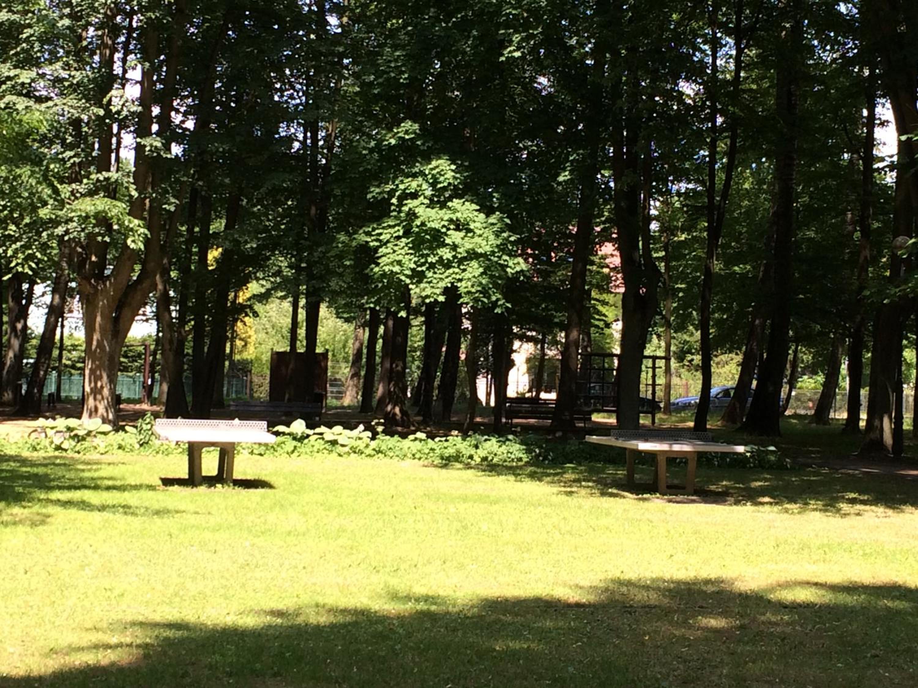 Photo 31