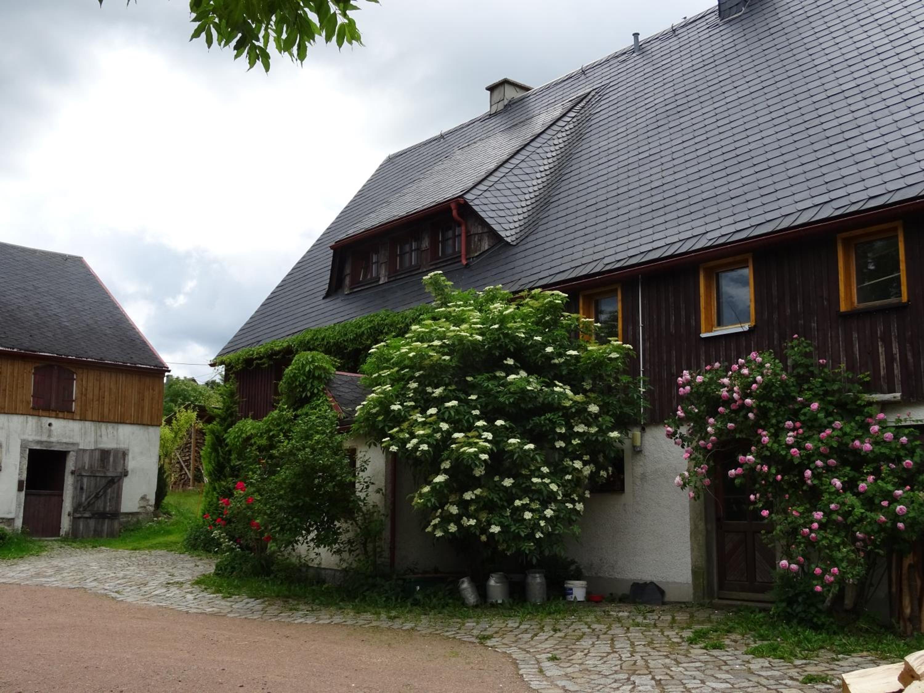 Urselhof - Property Image 5