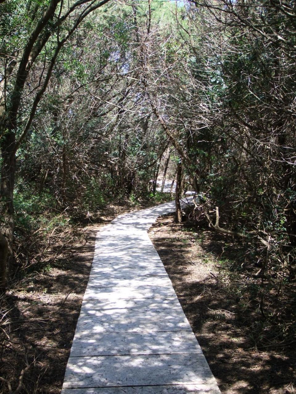 Photo 46