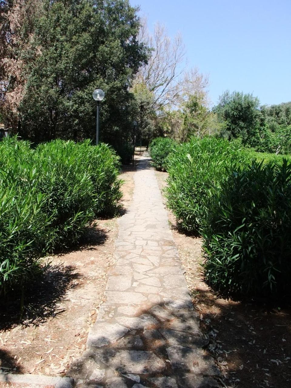 Photo 47