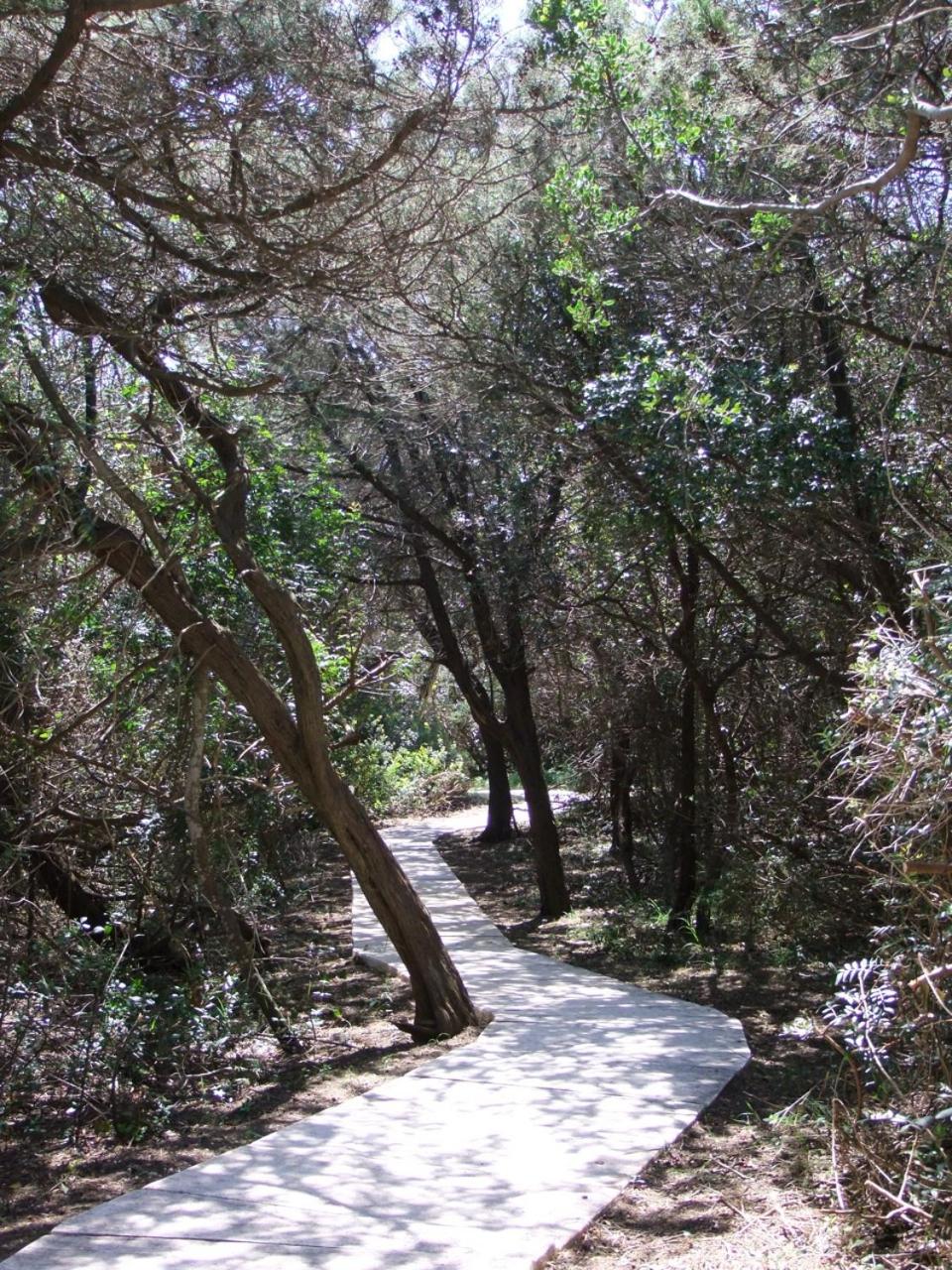 Photo 49