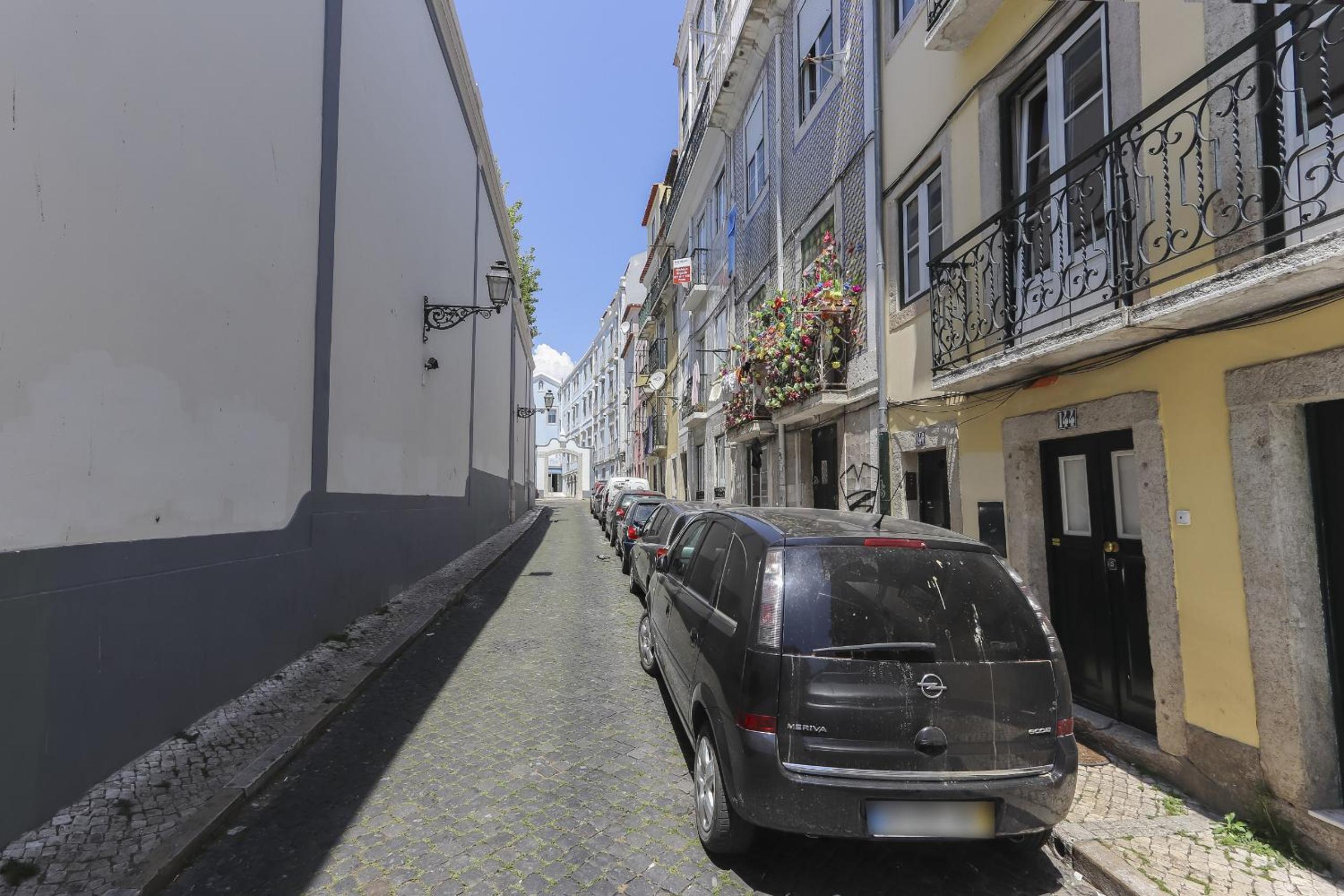 Bairro Alto Blue & Green by Homing