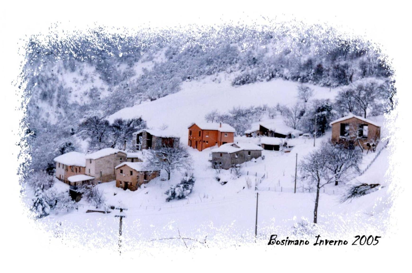 B&B Bosimano