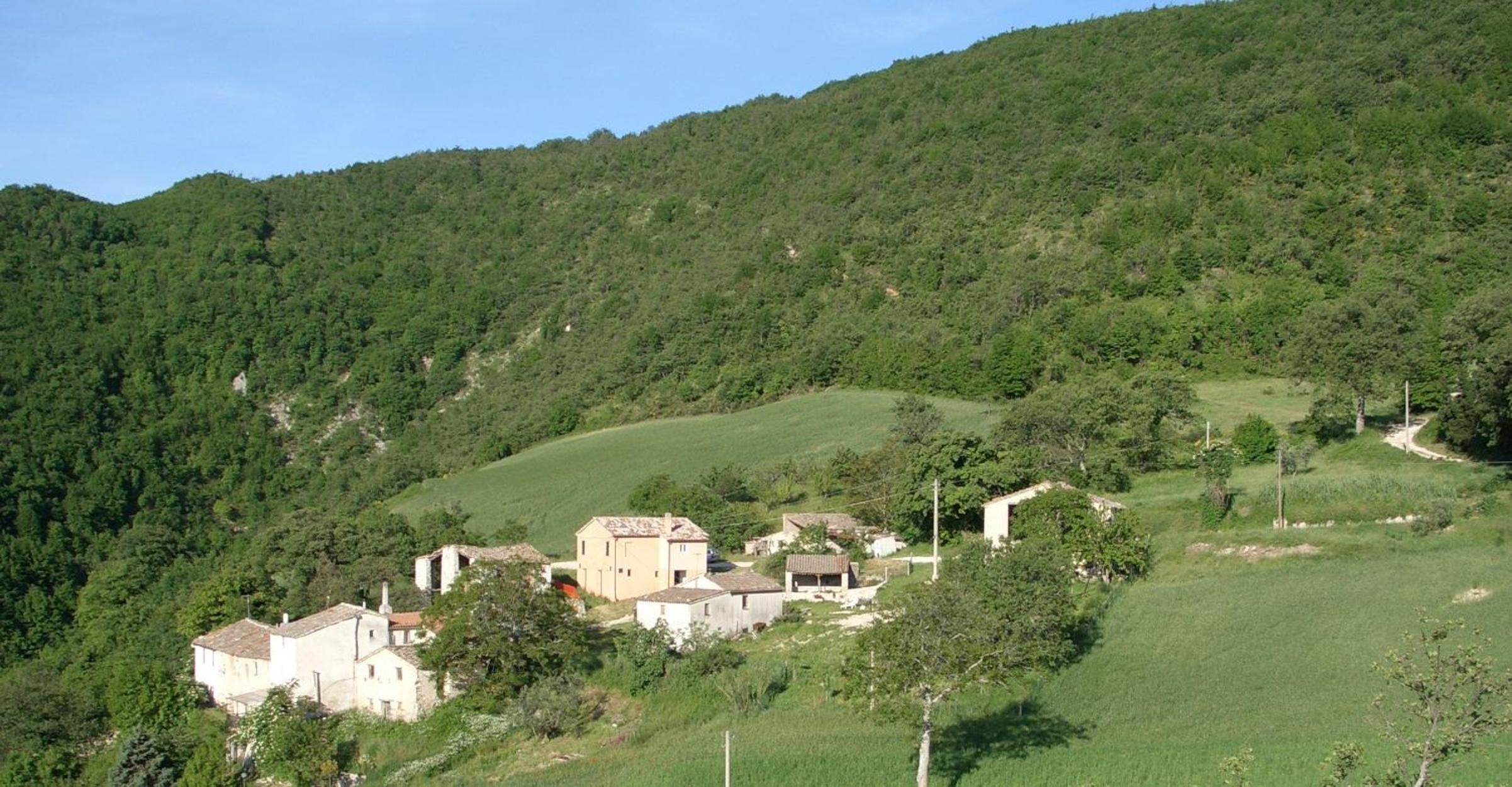 B&B Bosimano