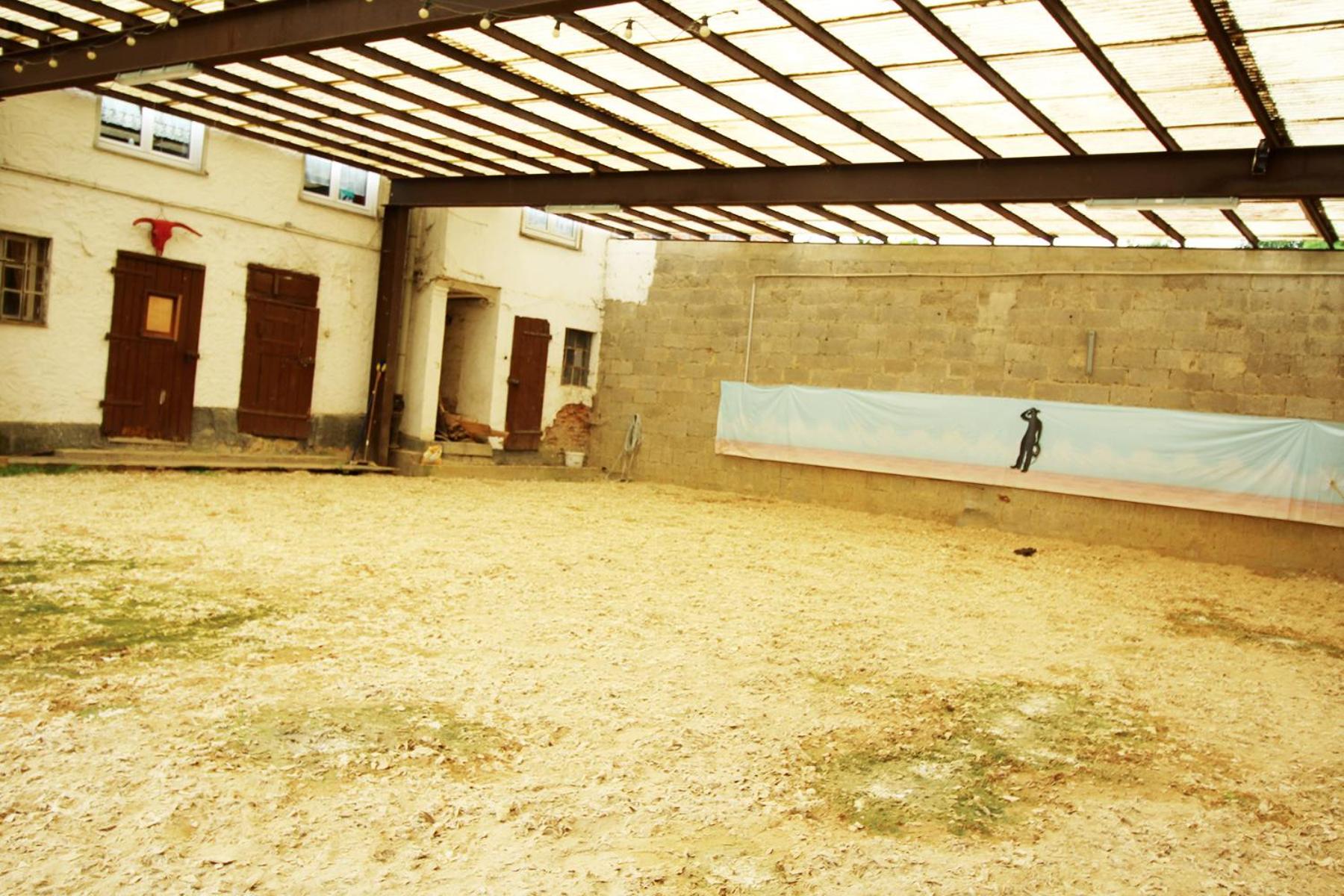 Photo 6