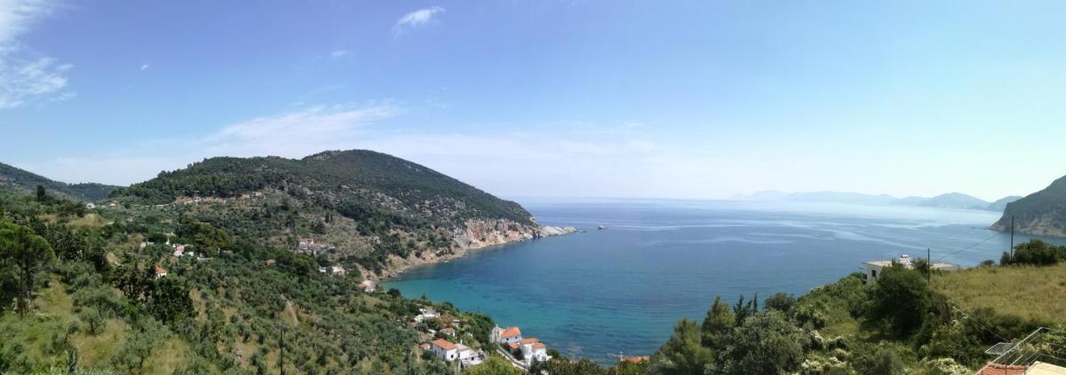 Sea View Studios photo 2