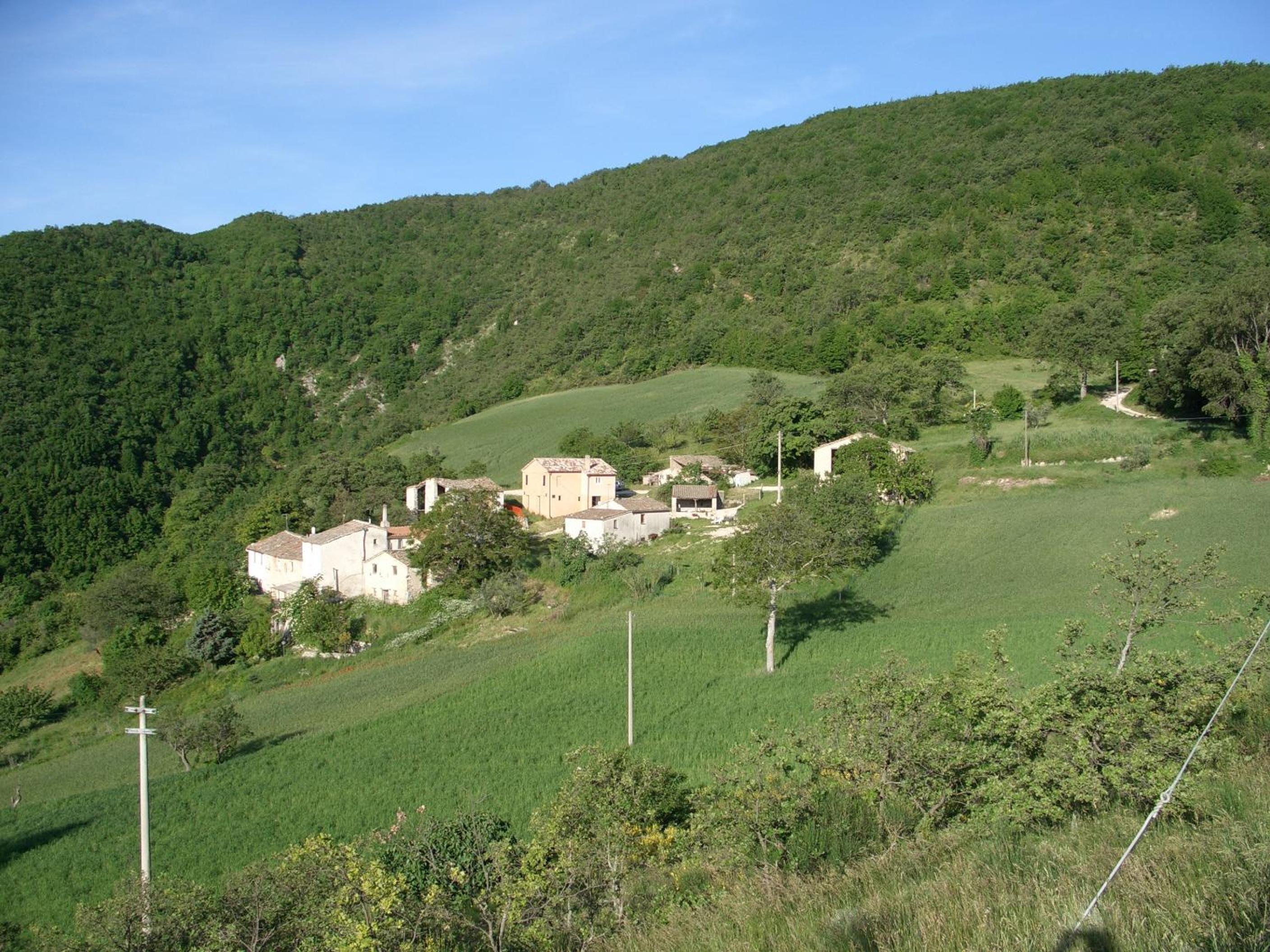B&B Bosimano